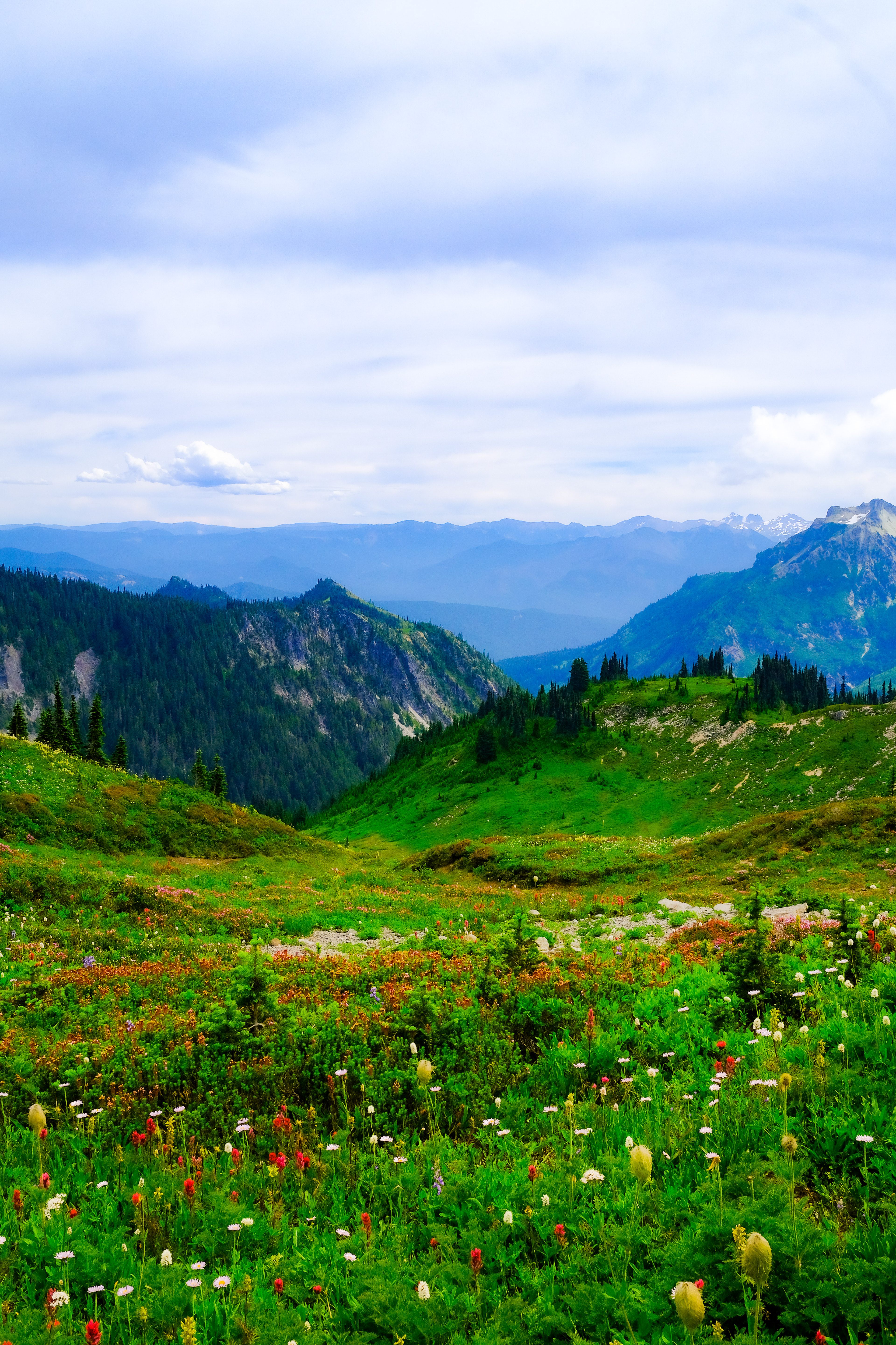Skyline Loop @ Mount Rainier