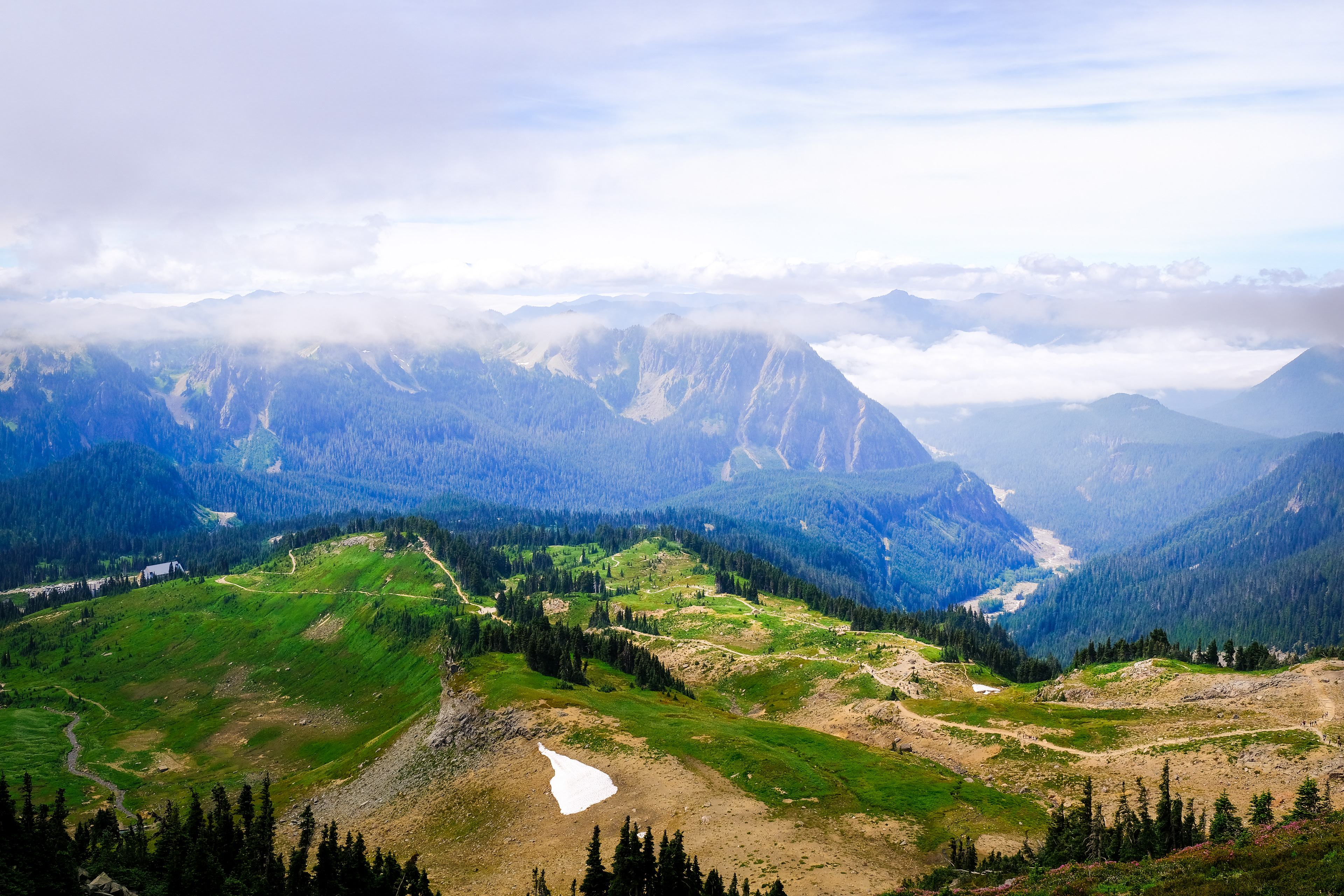 Skyline Loop @ Mount Rainier