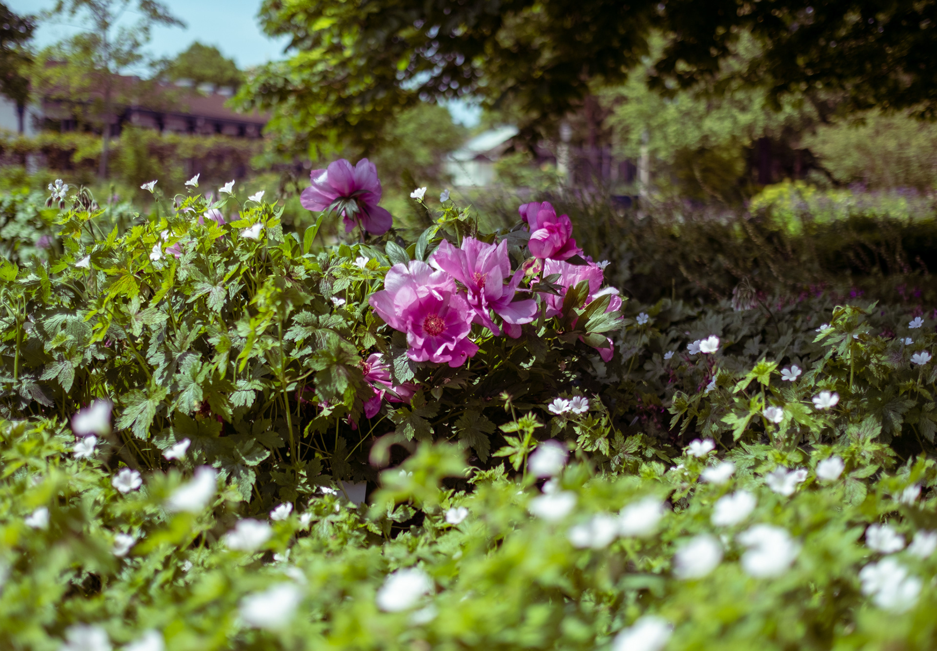Parc Floral de Paris