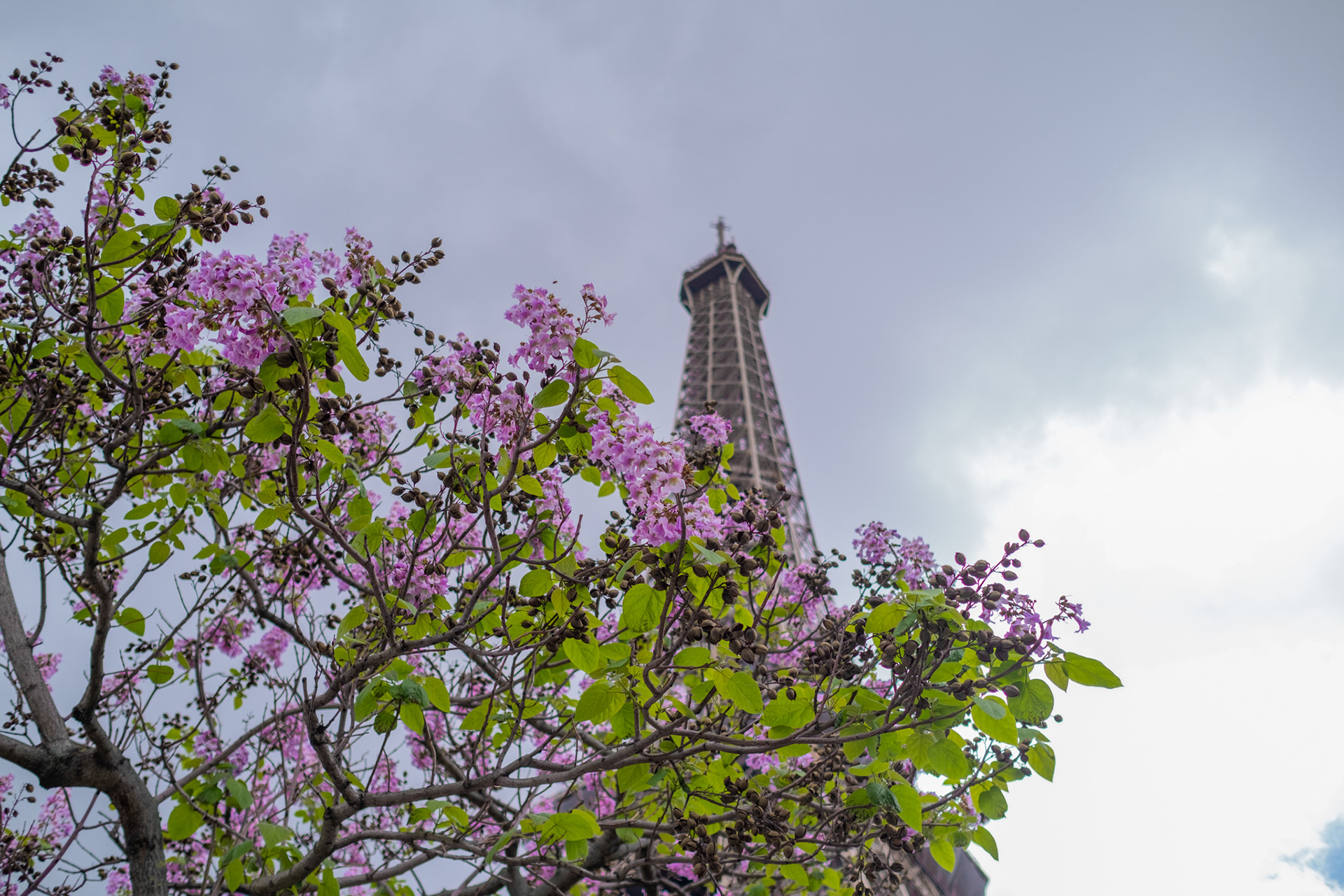 Eiffel Tower