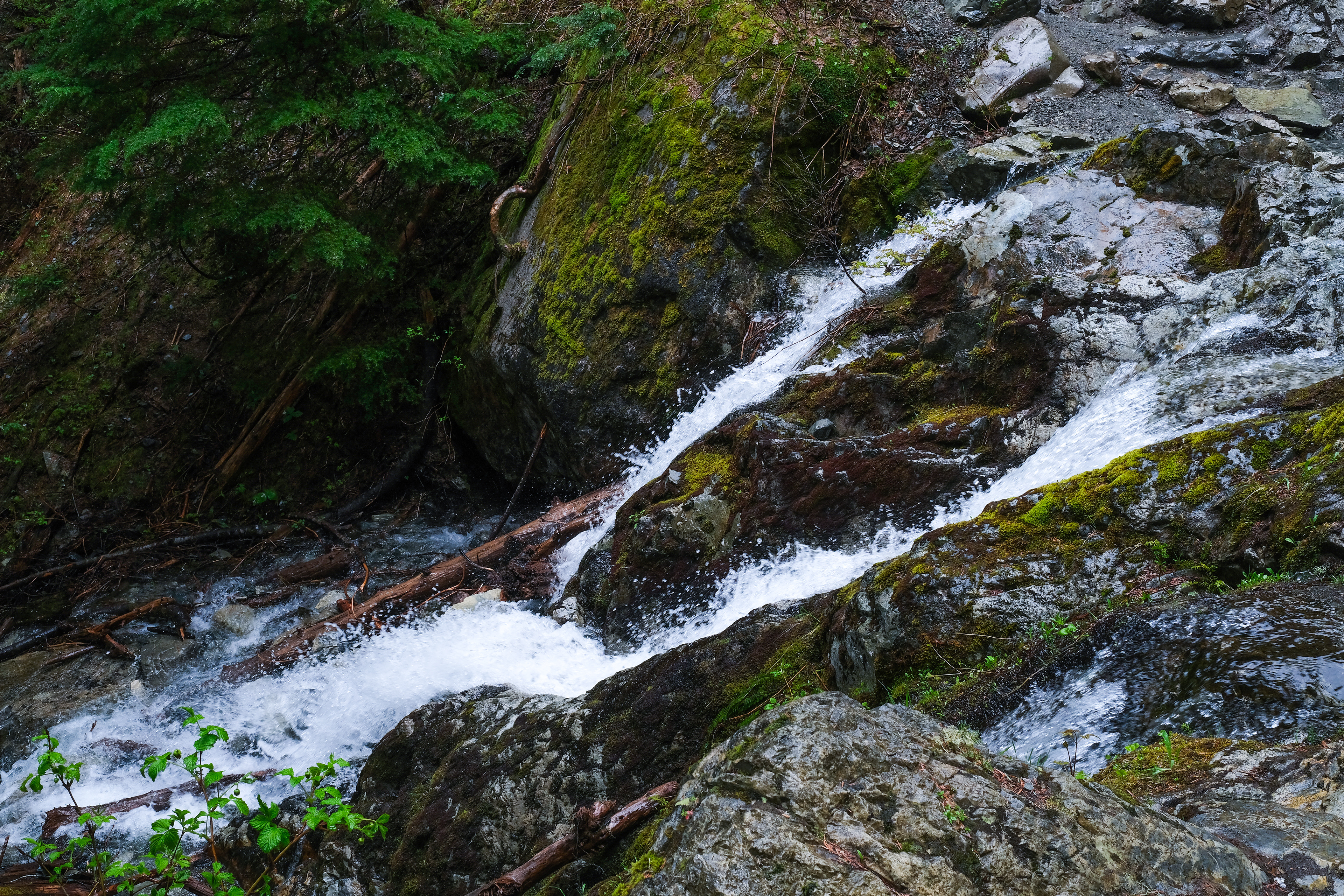 Snow Lake