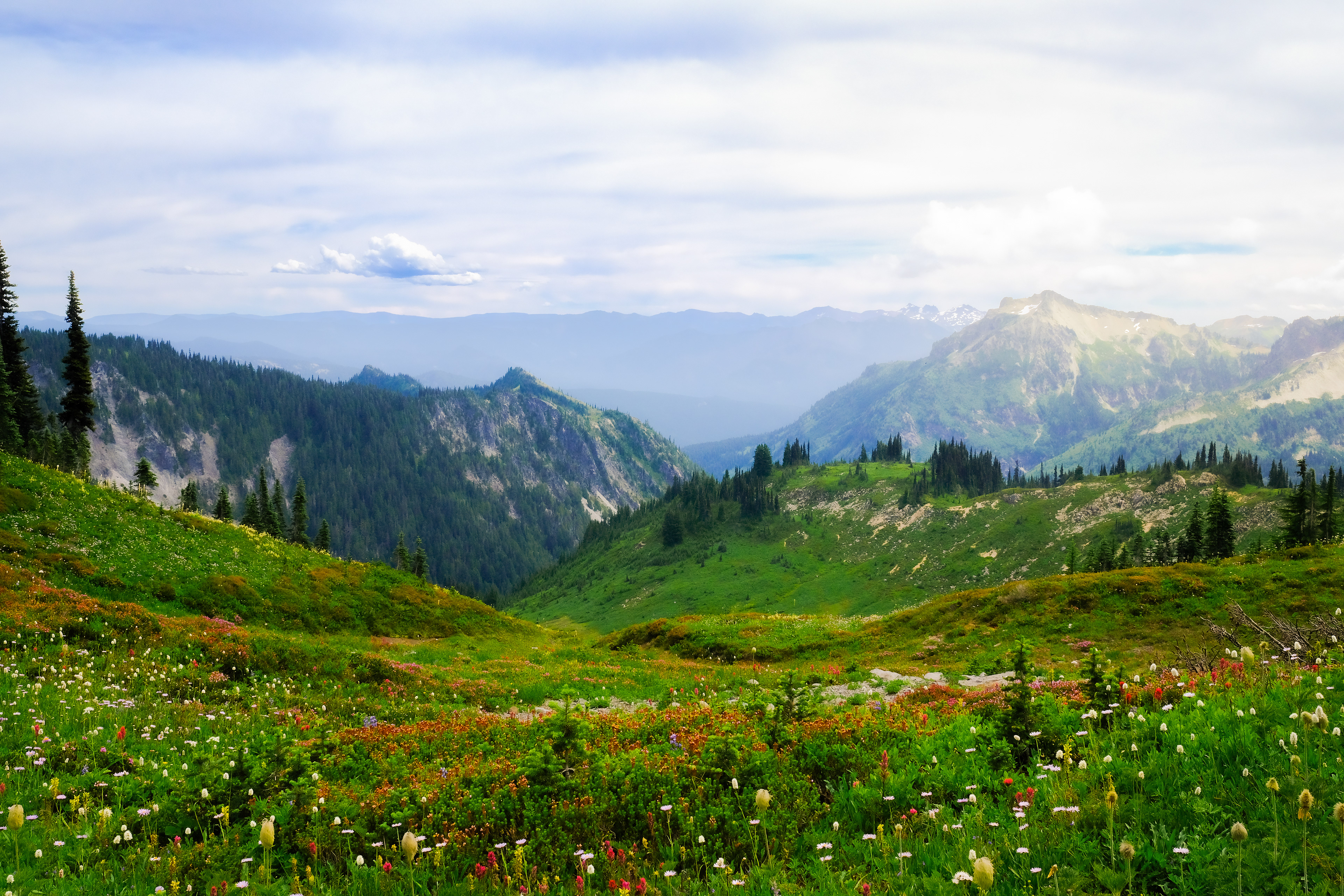 Skyline Loop @ Mount Rainier