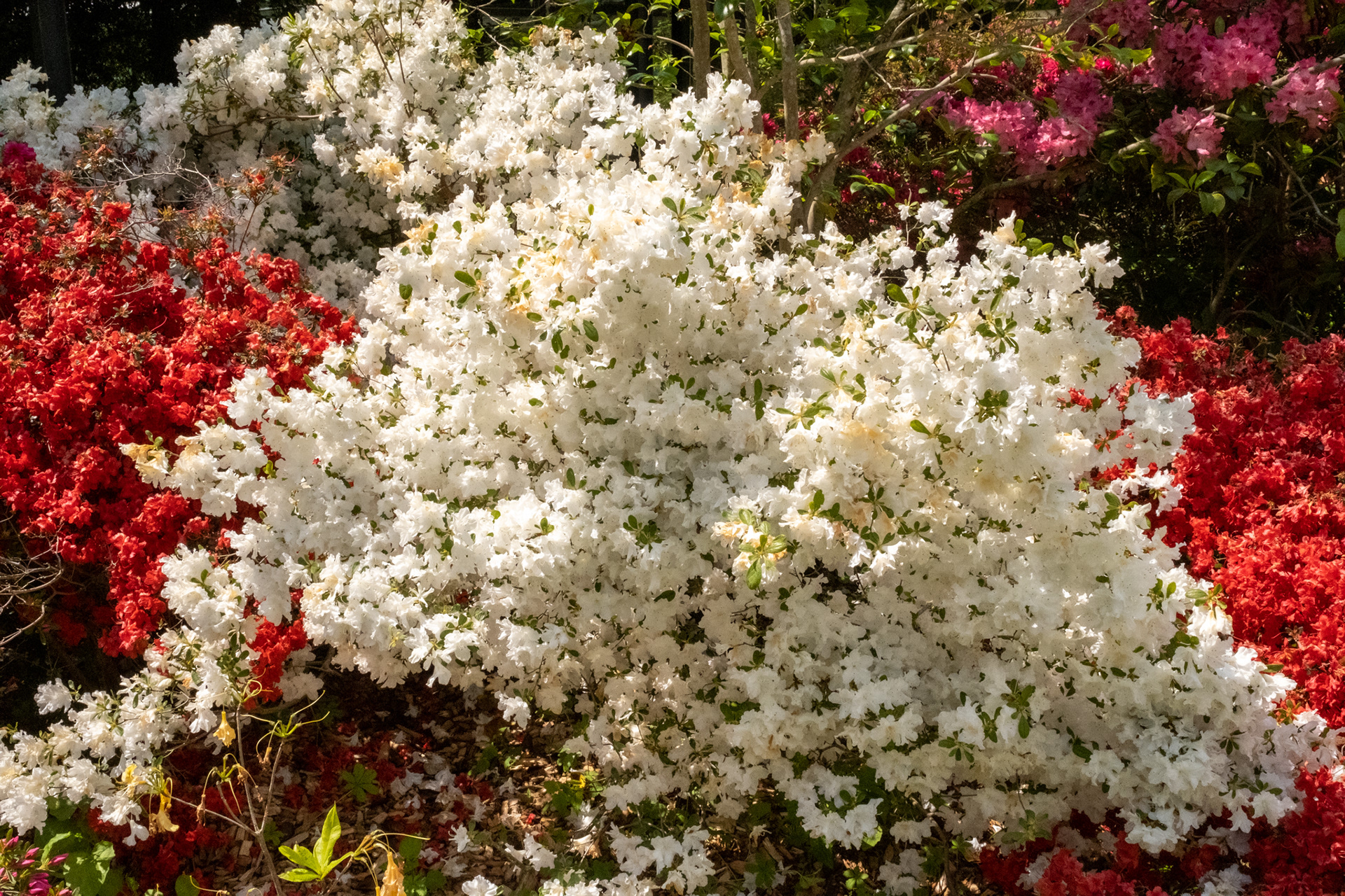 Parc Floral de Paris