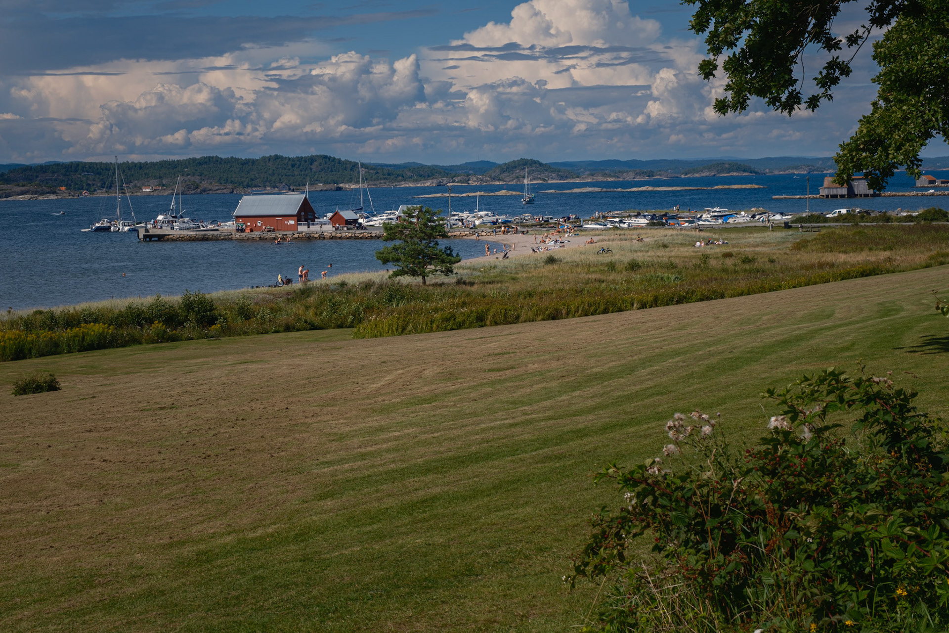 Tur til Jomfruland med Bruno August 2023