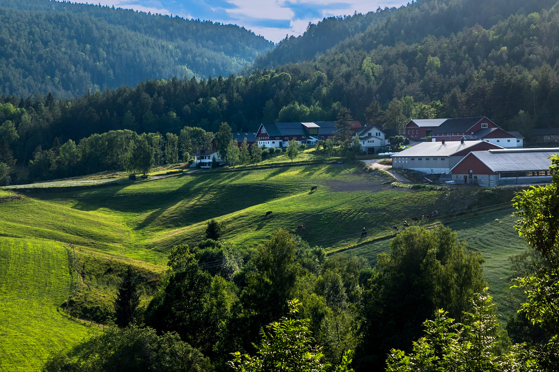 En Lørdags  ettermiddag med sang på låven til Ellen og Gunnar Ajer og deretter en tur til slusene i Lunde. Sammen med Bruno