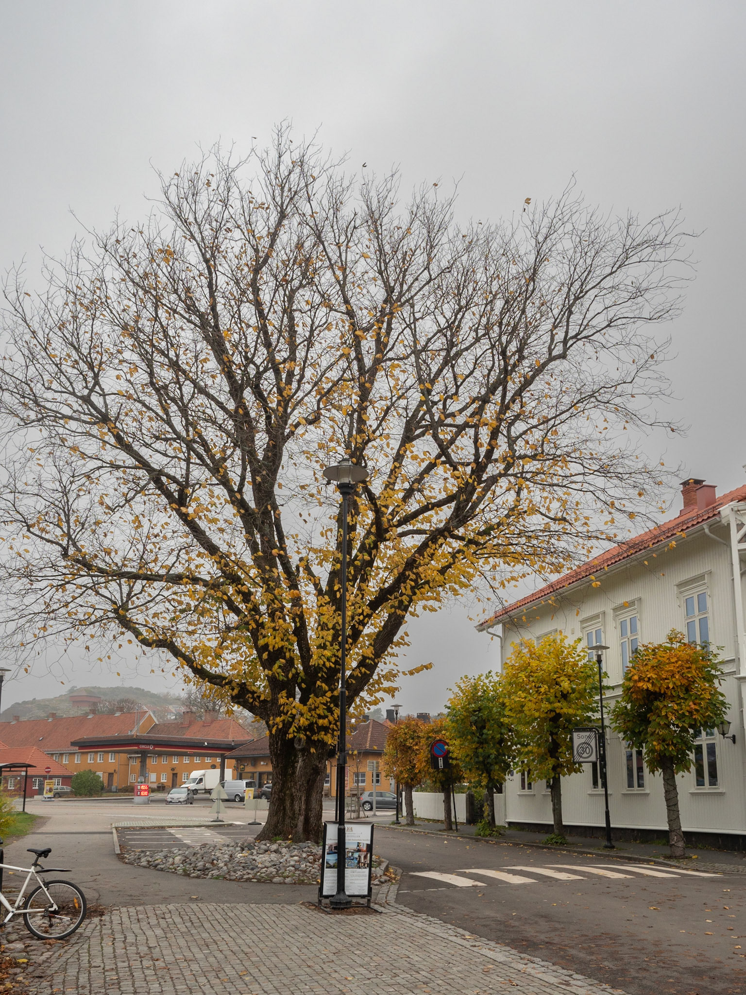 Stavern området sent i Oktober 2021