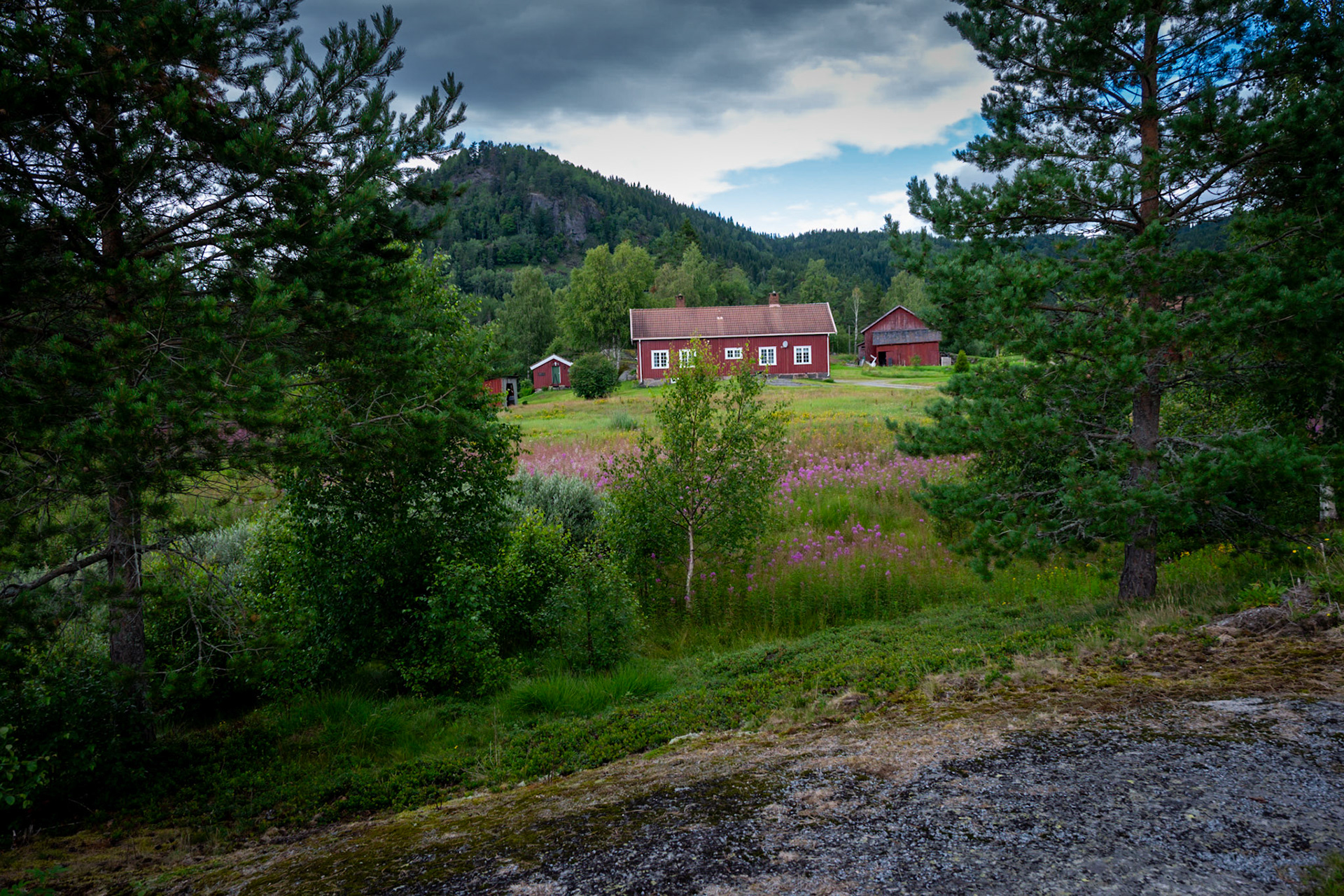 Med Bruno og Harald in i Luksefjell en Søndag sent i Juli 2023