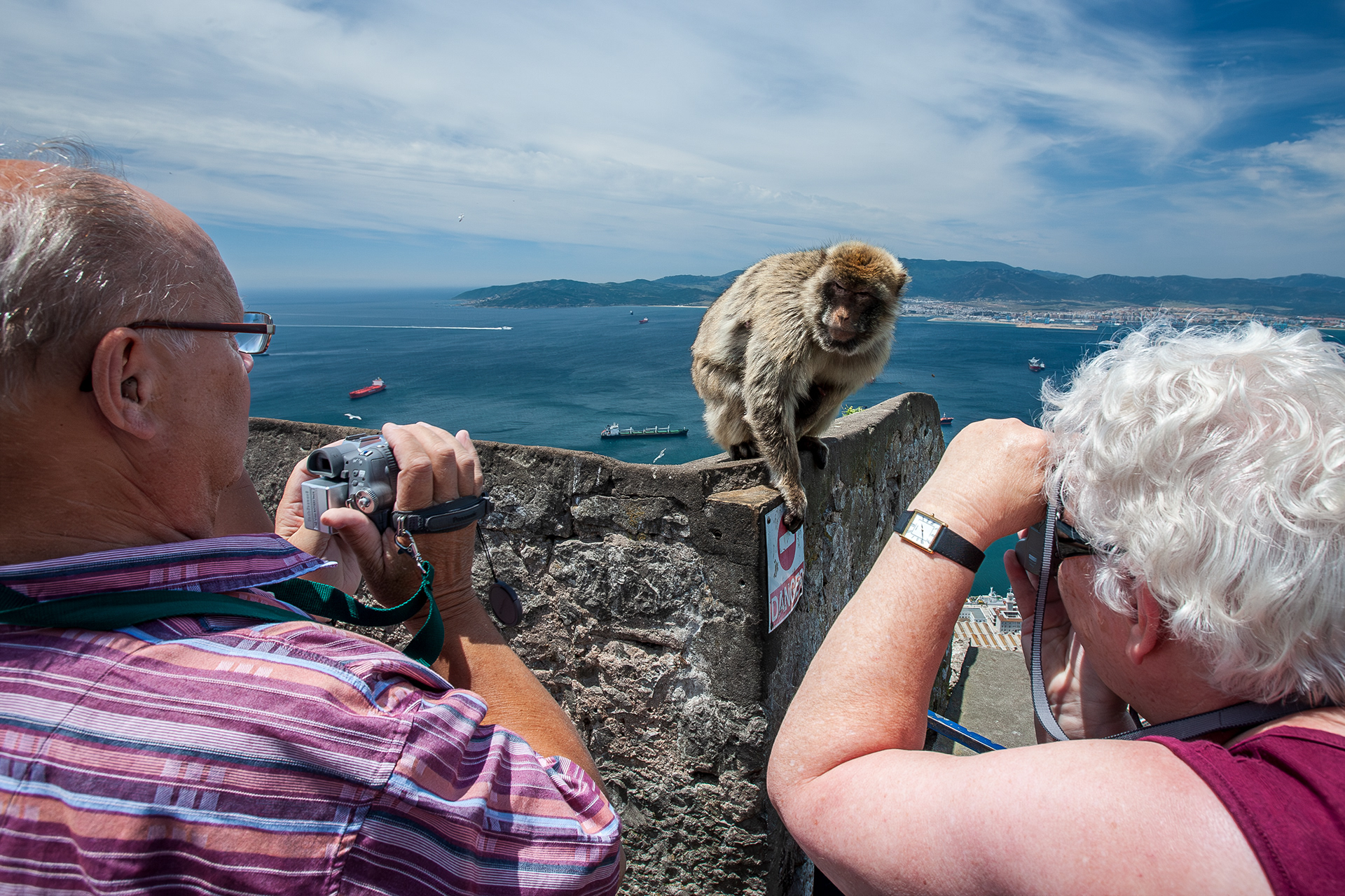 Two tourists filming and photographing a macaque at the top of the rock of Gibraltar.