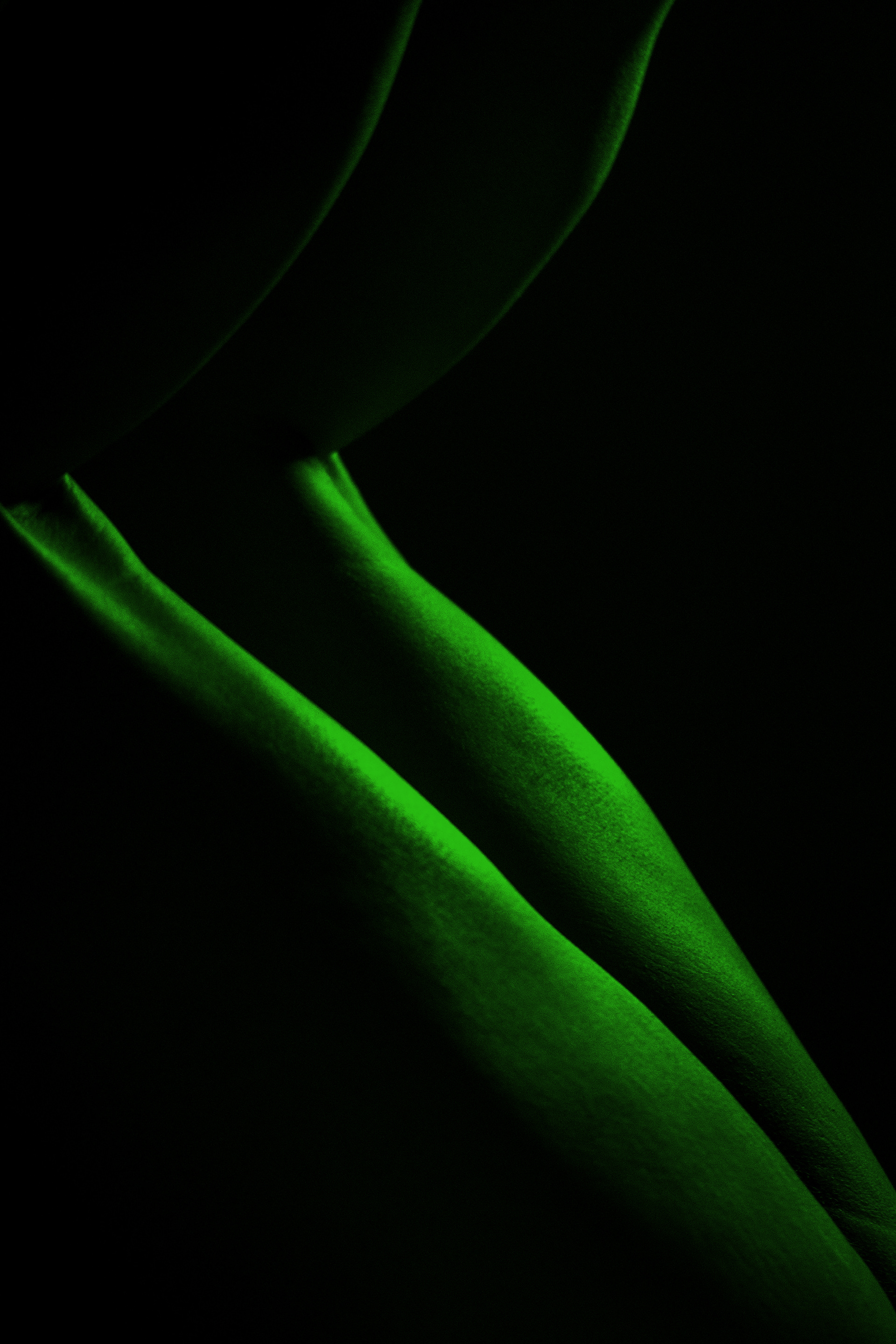 Shamrock
