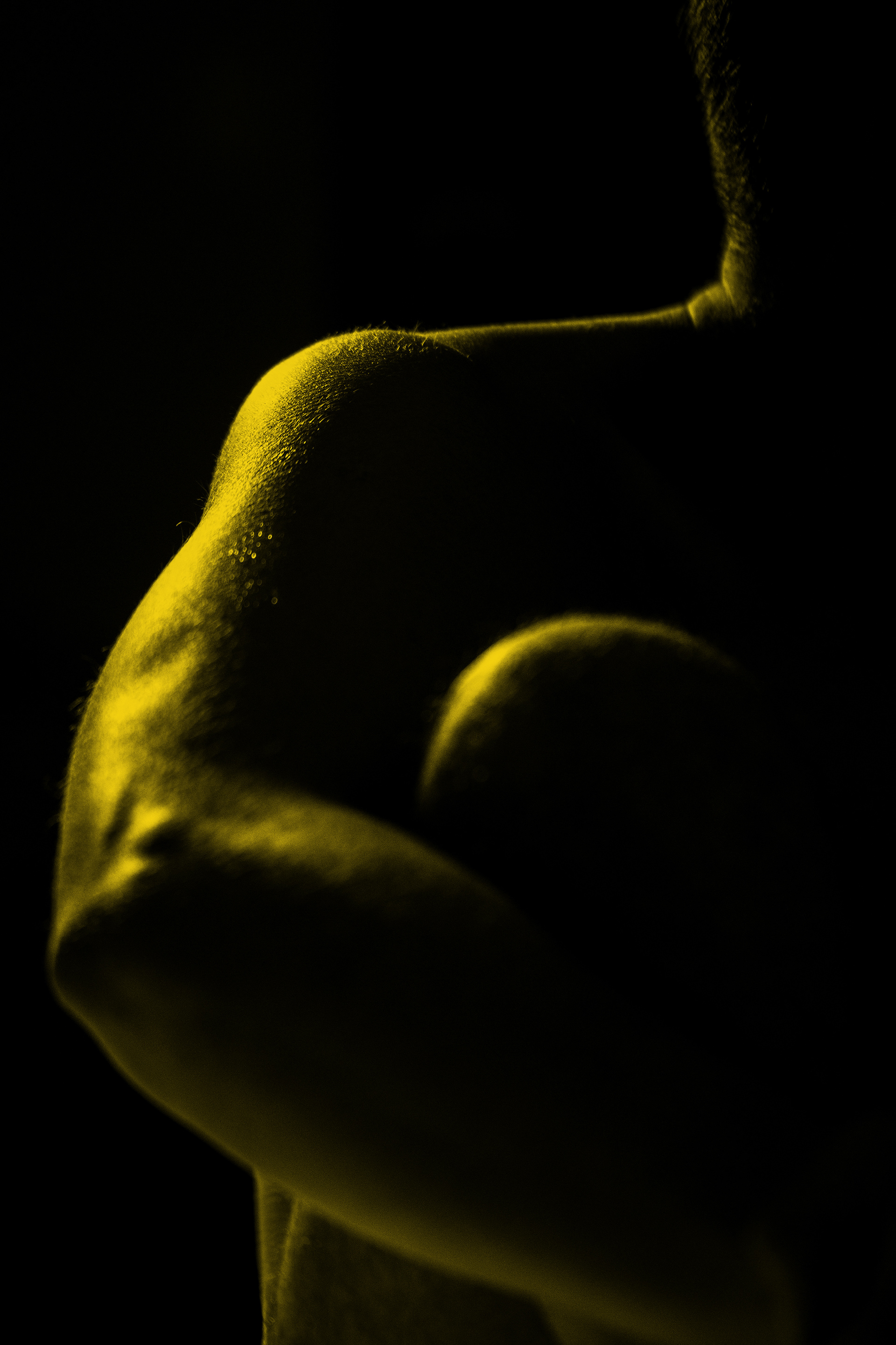 Canary