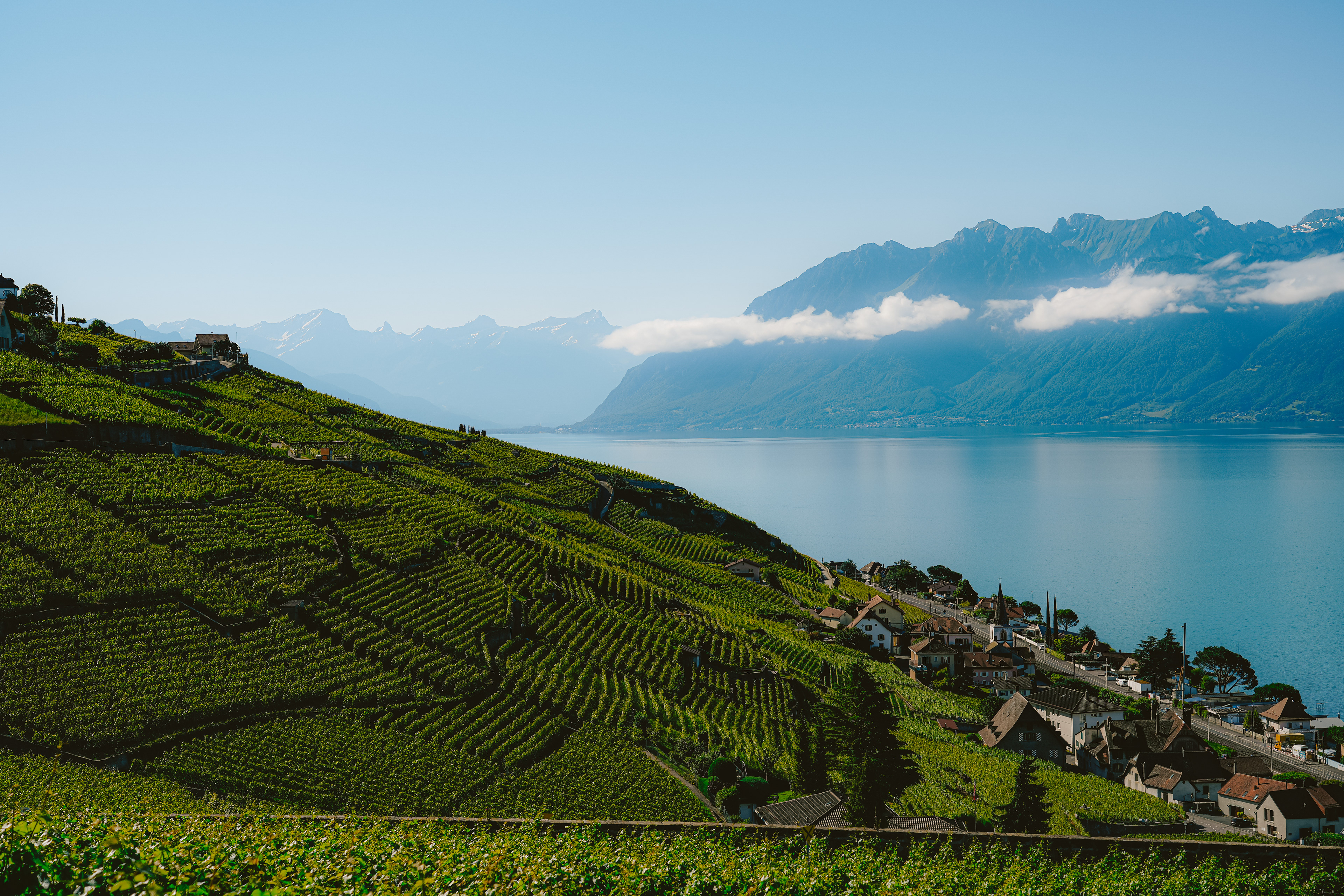 Lavaux, Switzerland