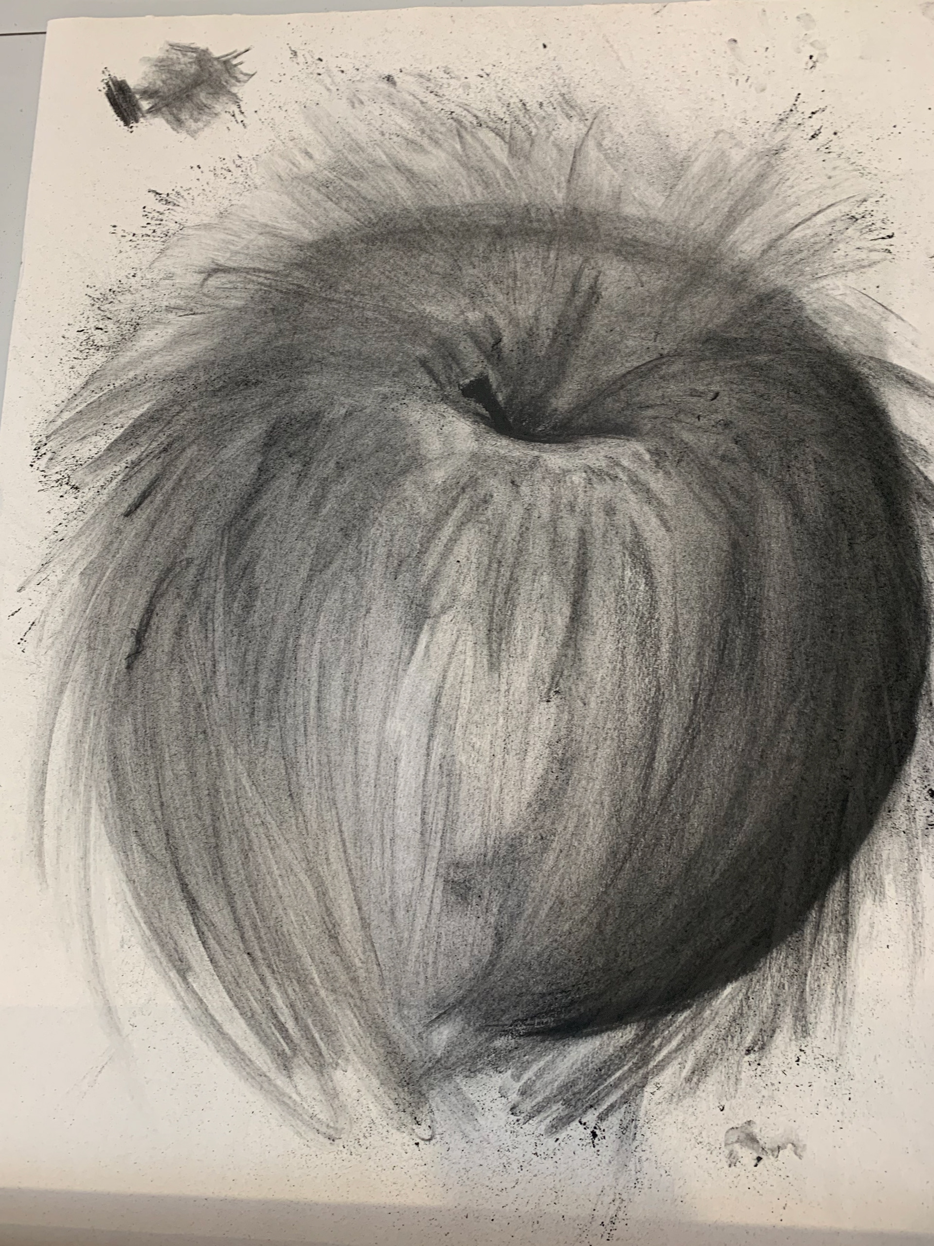 Charcoal Fruit Study