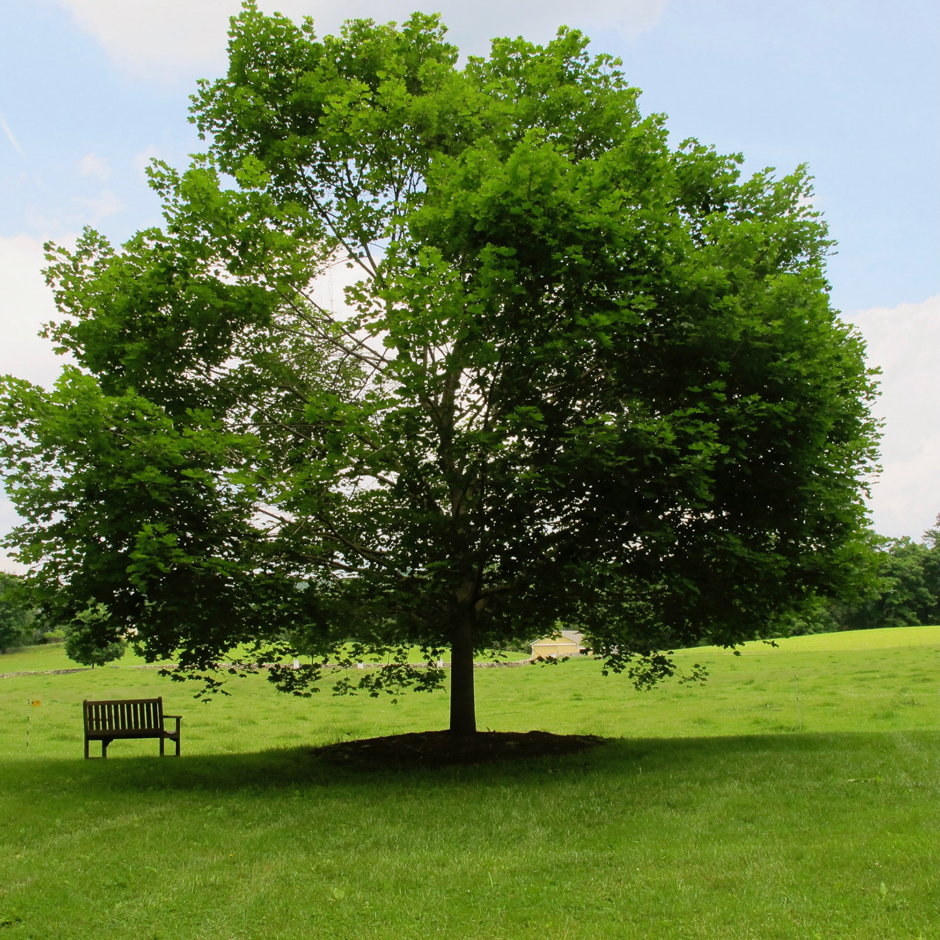 New Pond Farm, Redding, CT.