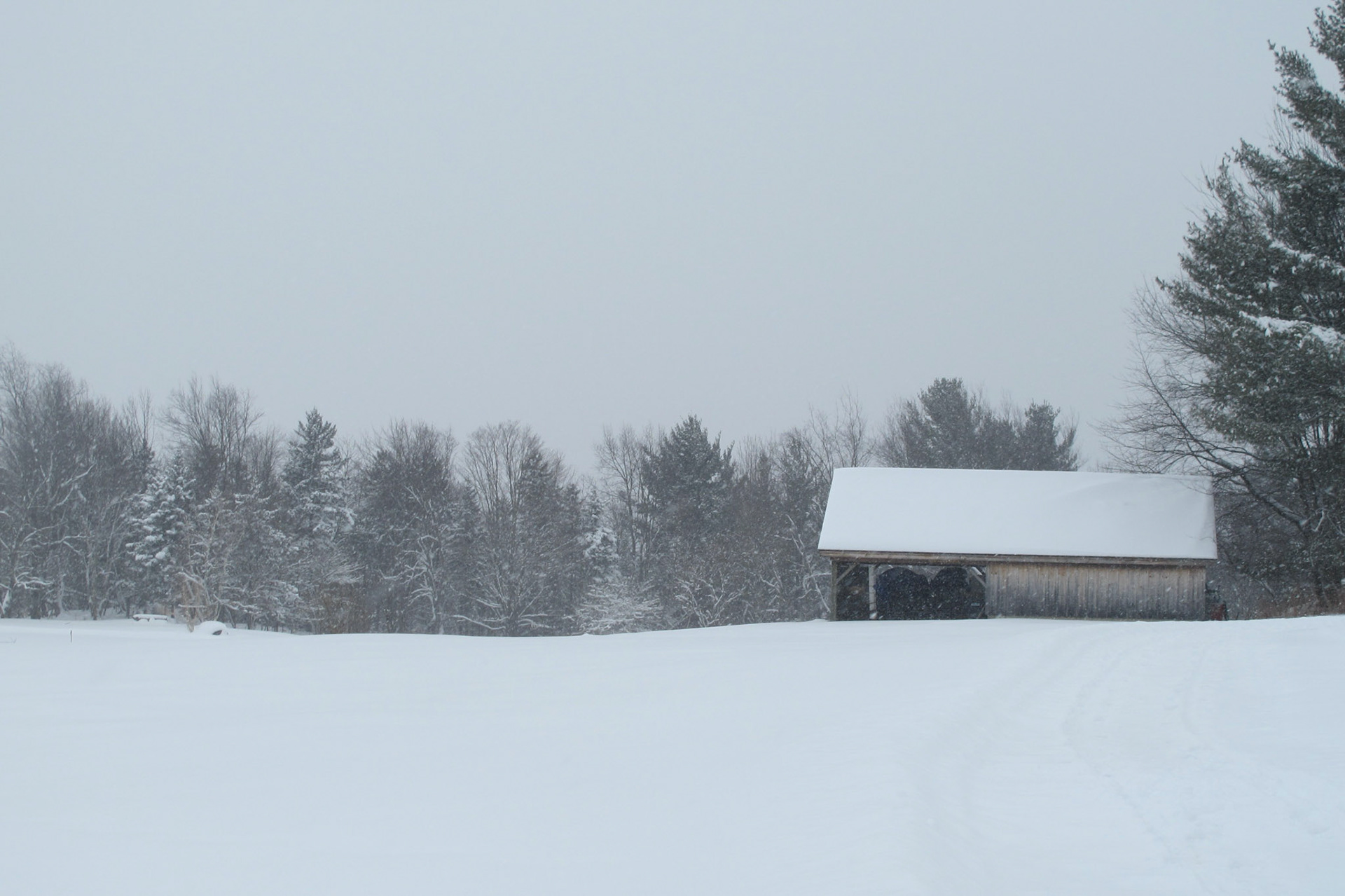 Von Trapp property, Stowe, Vt.