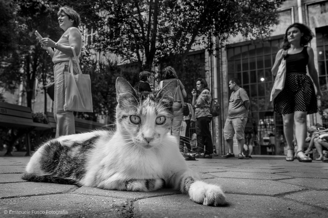 Istanbul - 2014