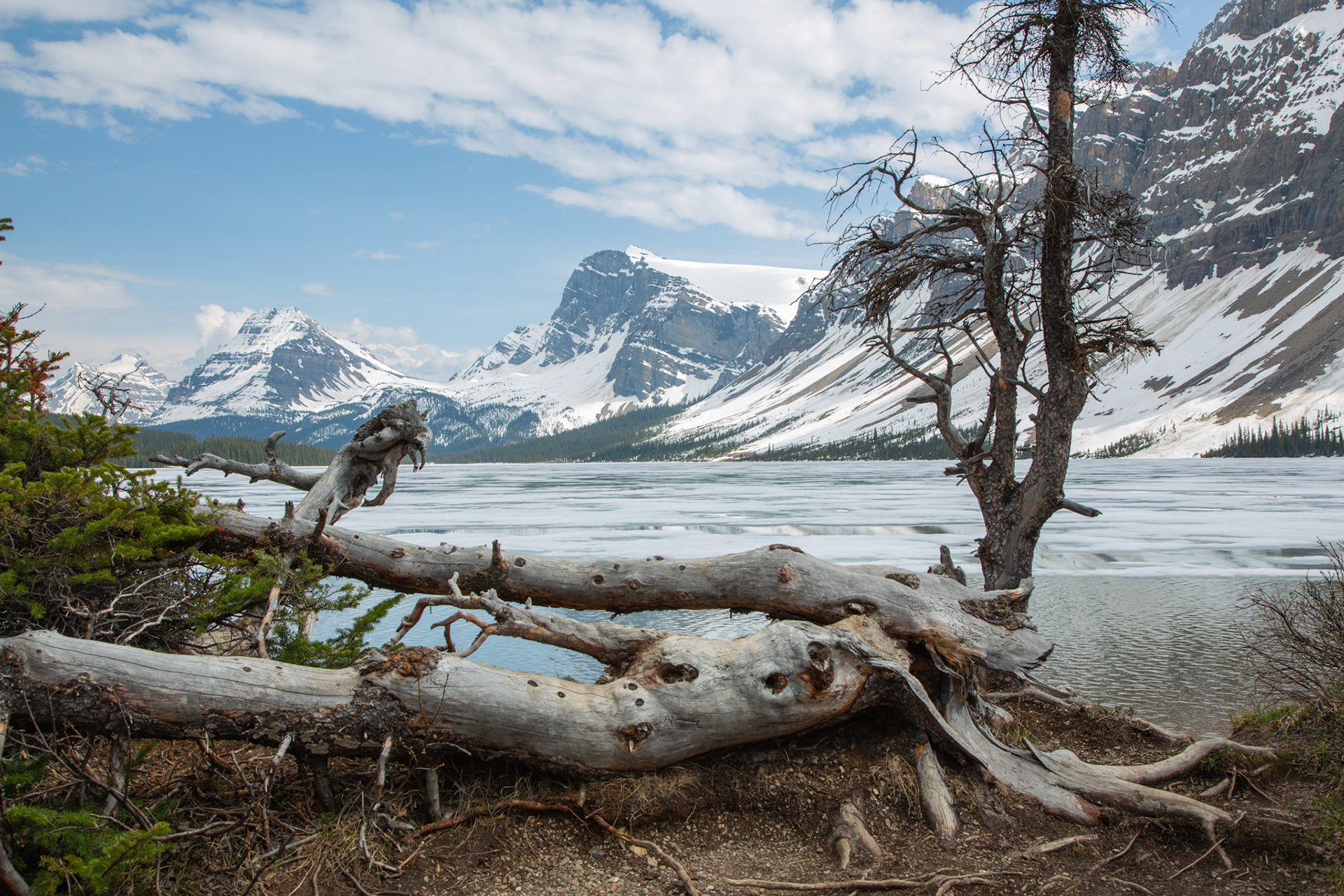 Bow Lake in Western Alberta, Canada
