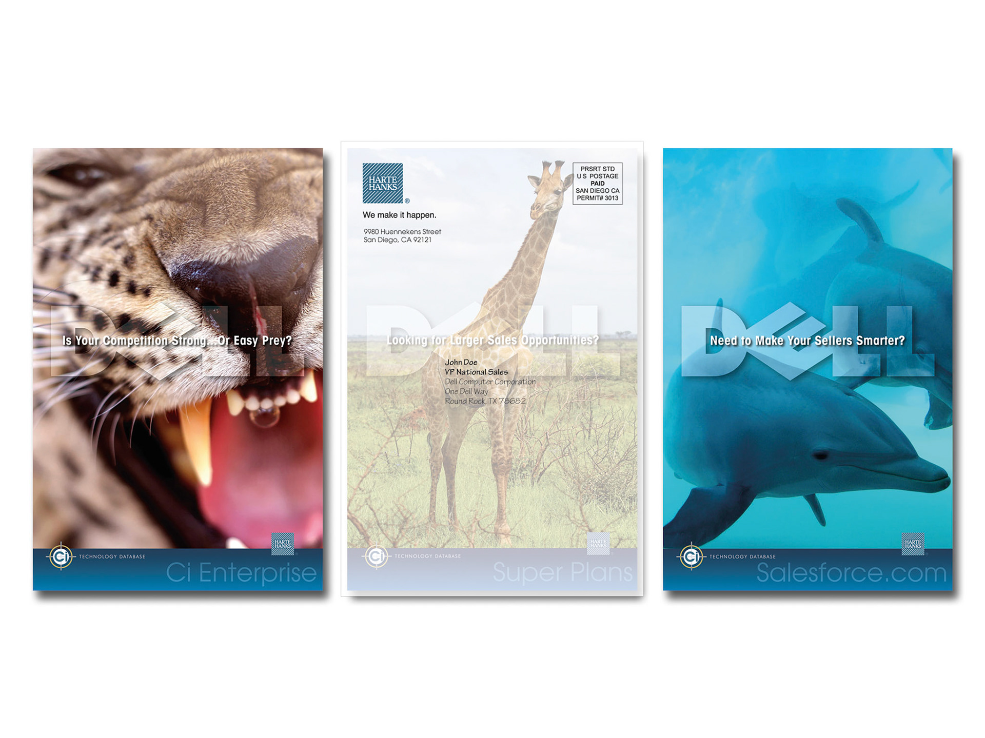 Direct Mail Campaign for Dell Computer