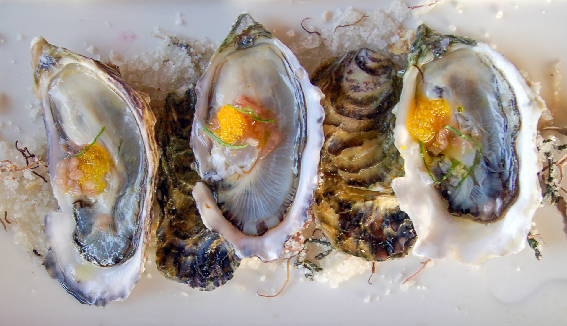 Oysters at Deckman's en El Mogor, Valle de Guadalupe, Mexico