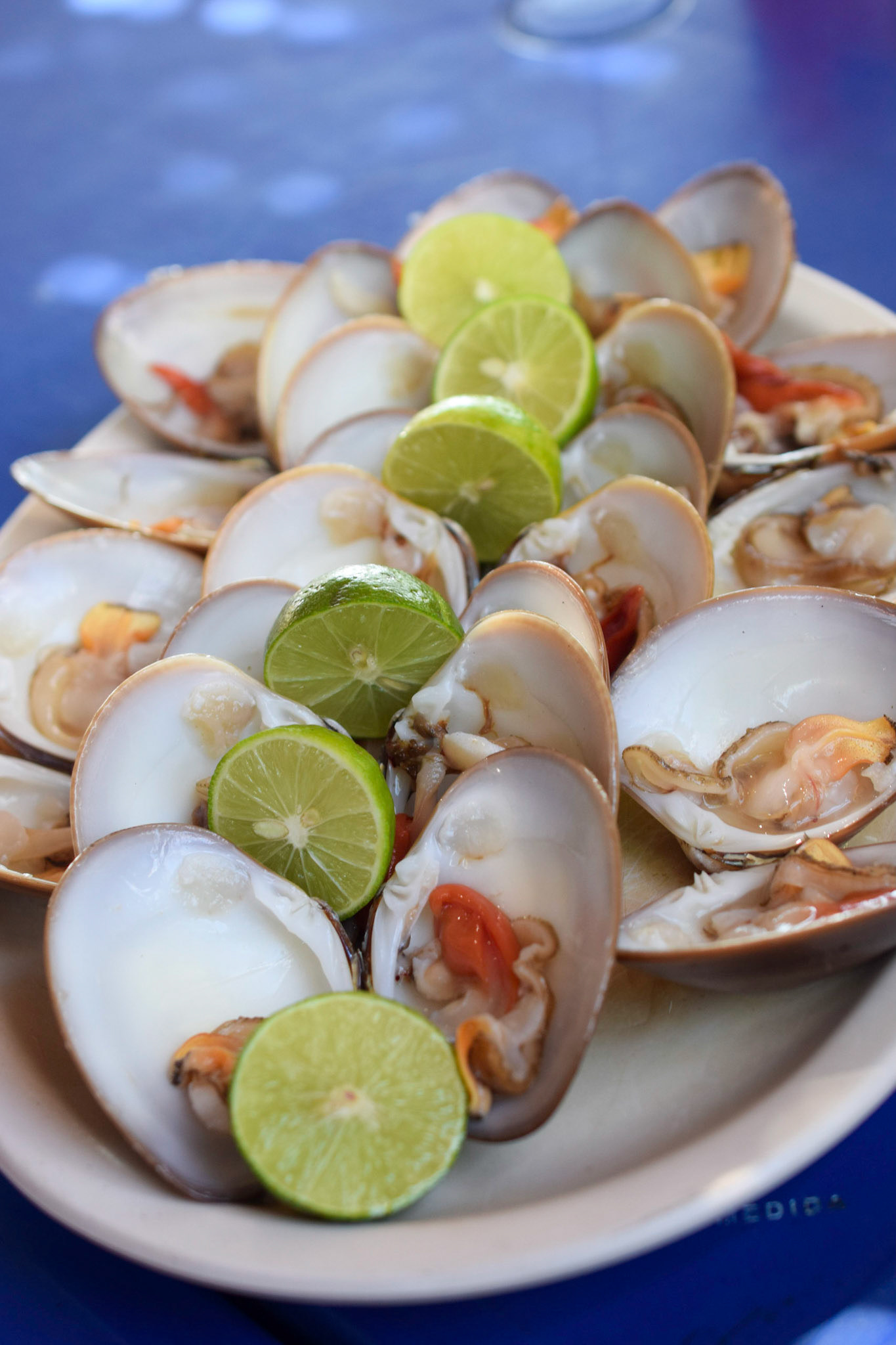 Chocolate clams at El Molinito, La Paz, Mexico