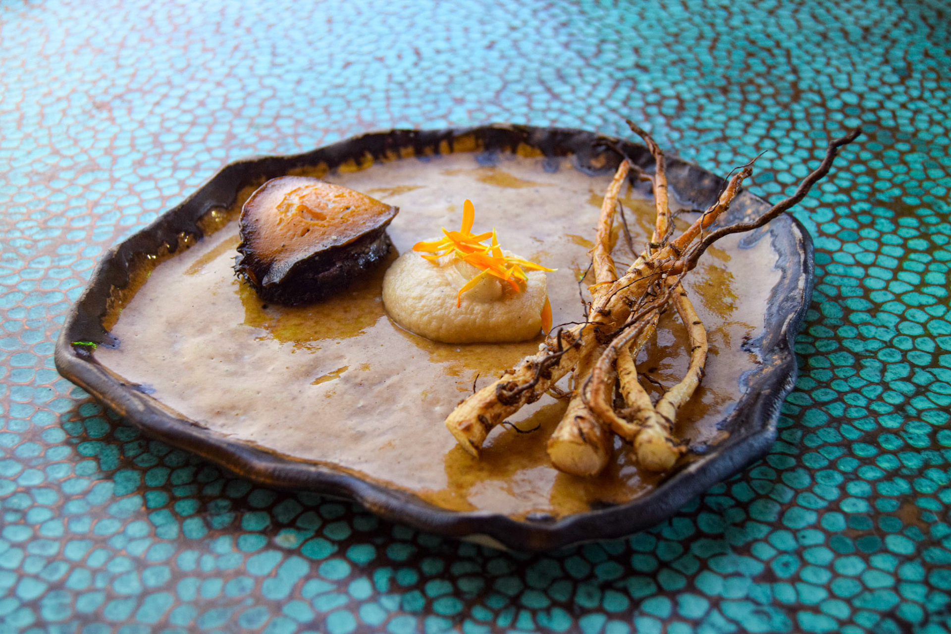Abalone, white mole, and fennel root at Corazón de Tierra, Valle de Guadalupe, Mexico