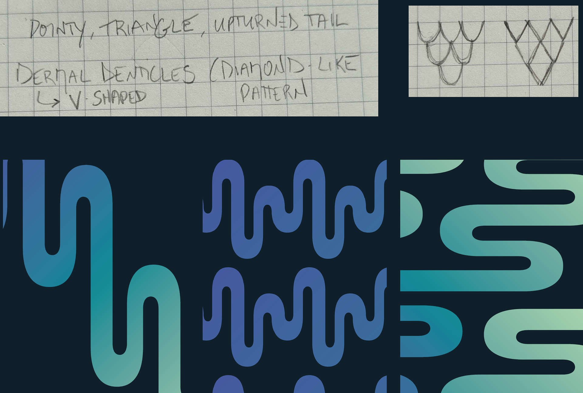 shark dermal denticles pattern inspiration