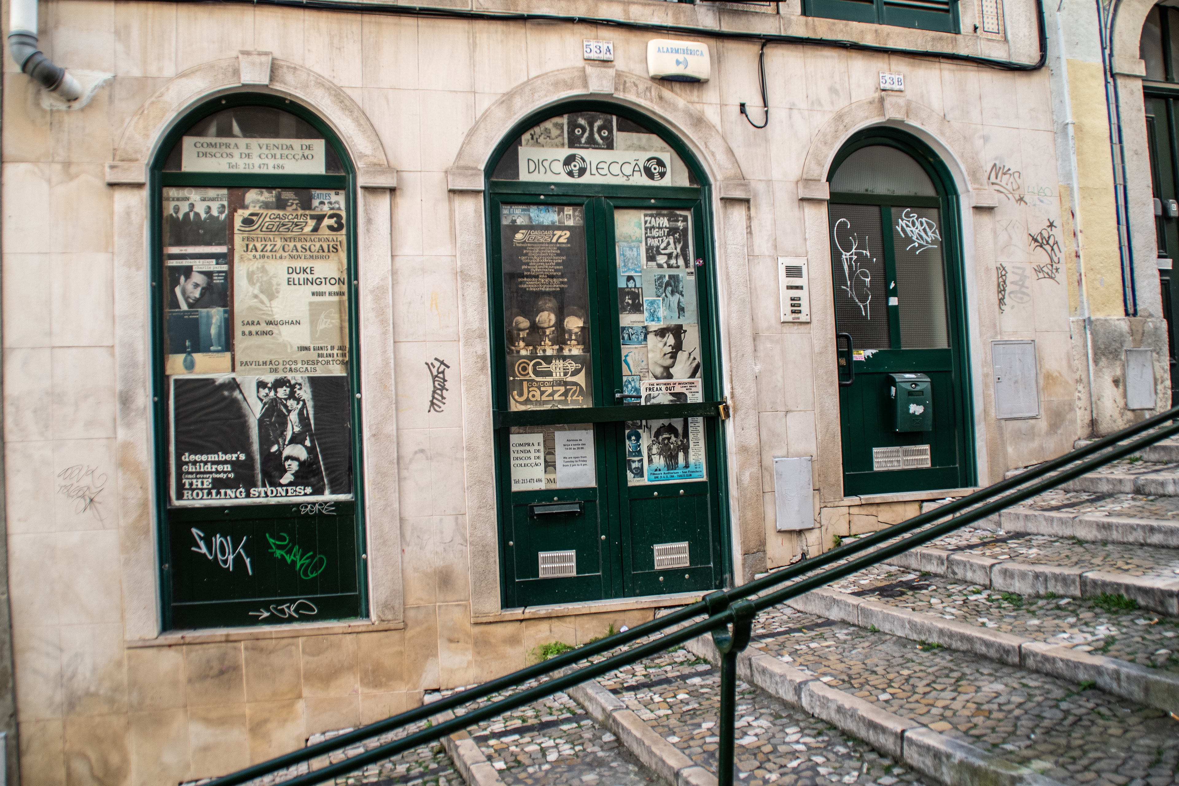 Zappa In The Record Store Window! 