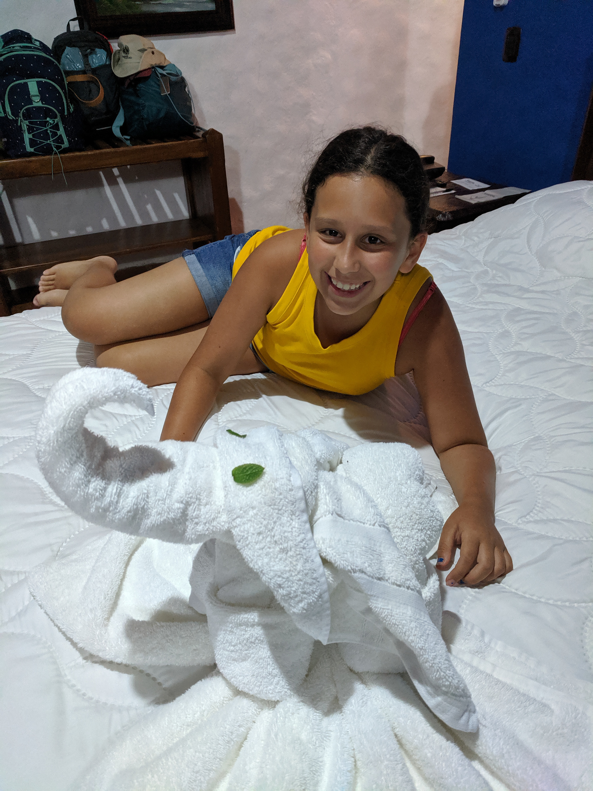Loving the towel elephant!