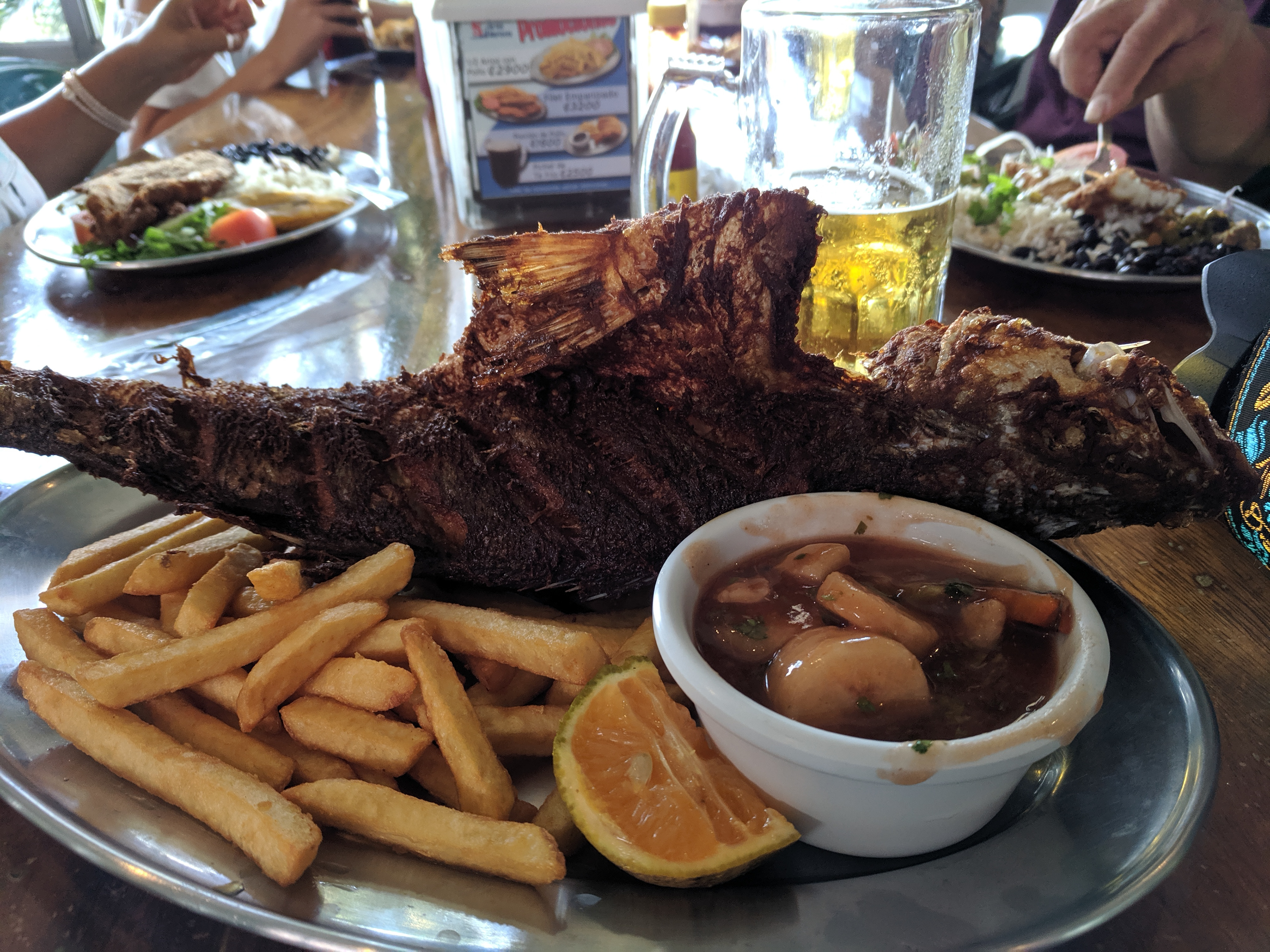 This was swimming this morning.