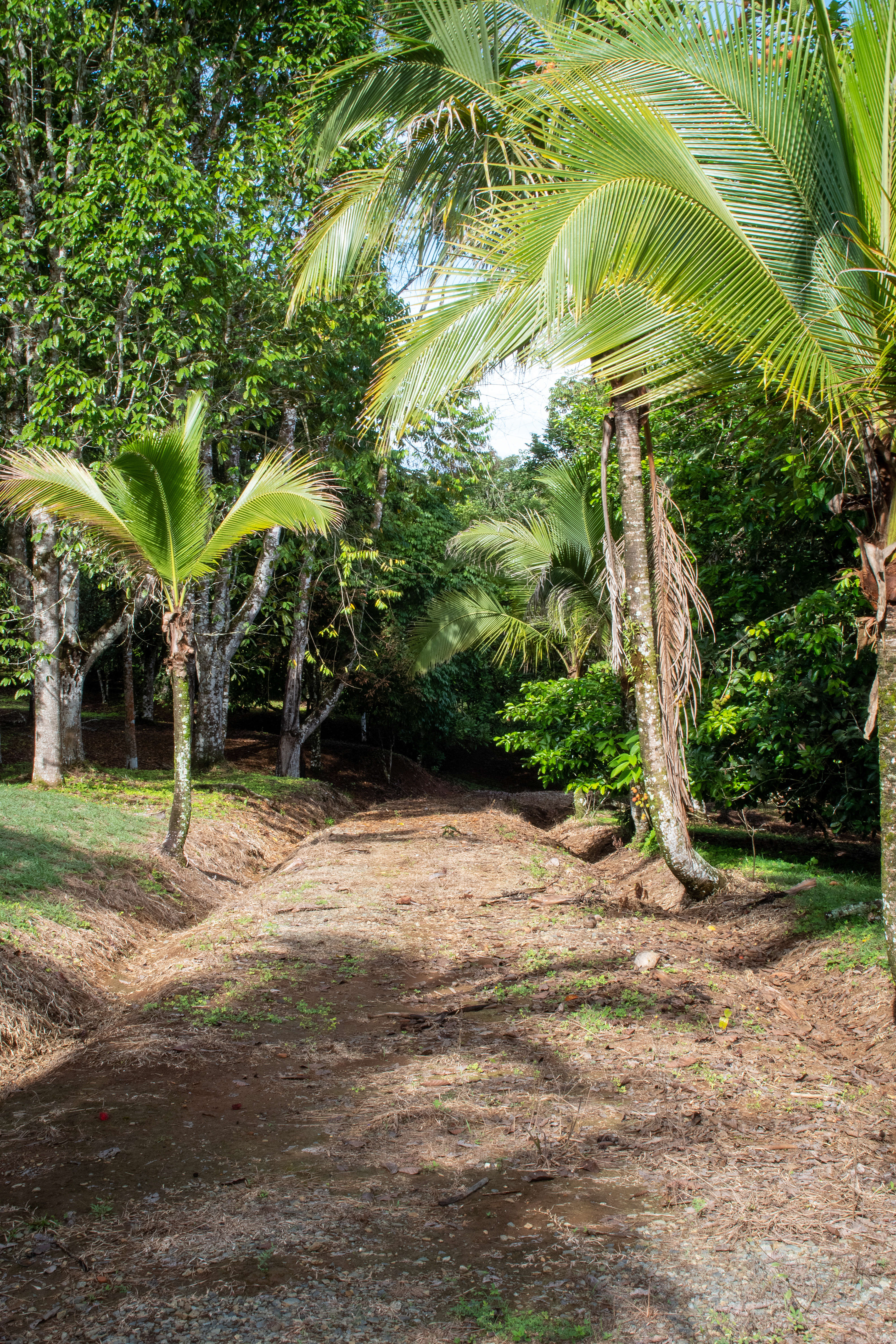 The Driveway