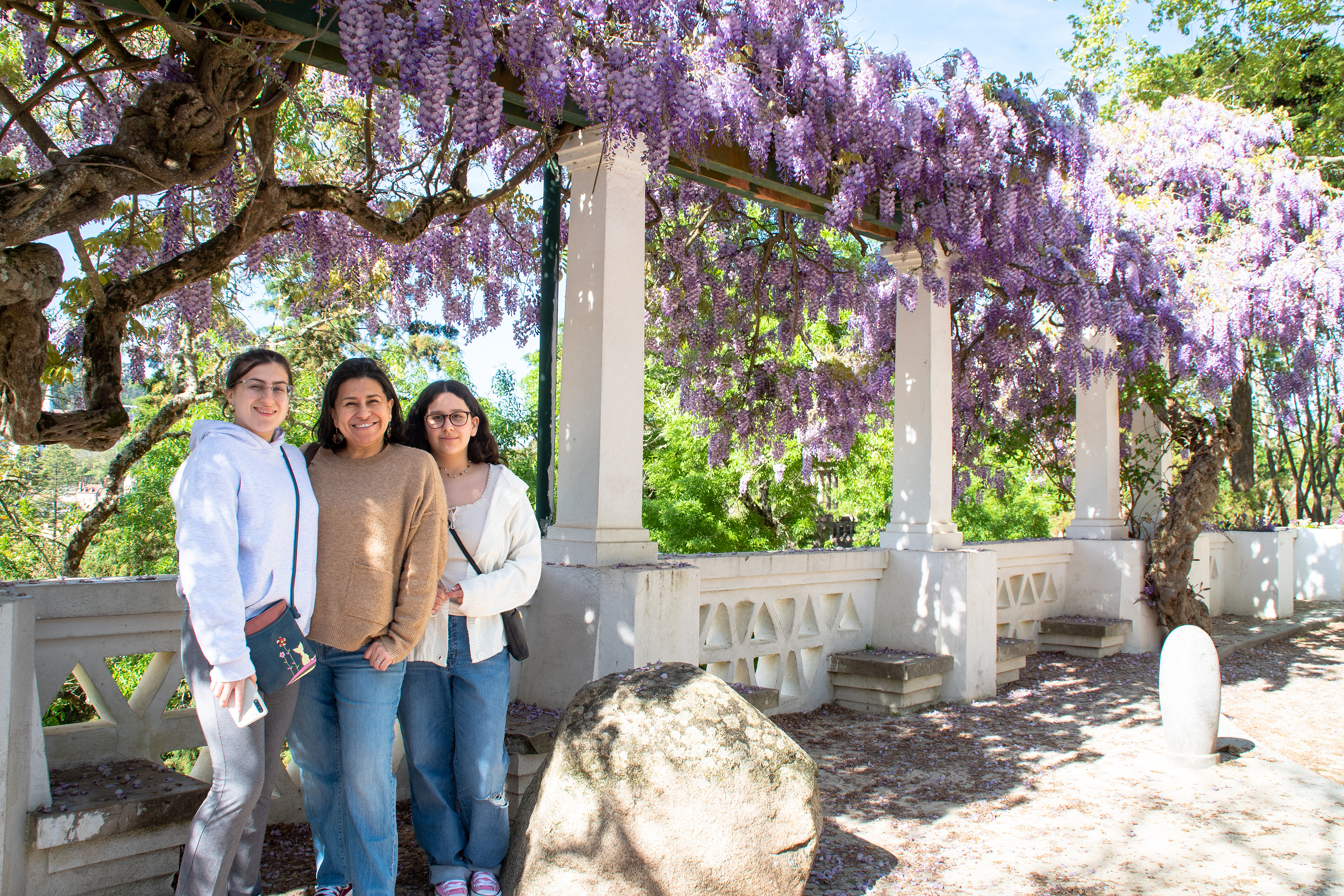 The Wisterias Were in Bloom.  The smell was amazing!