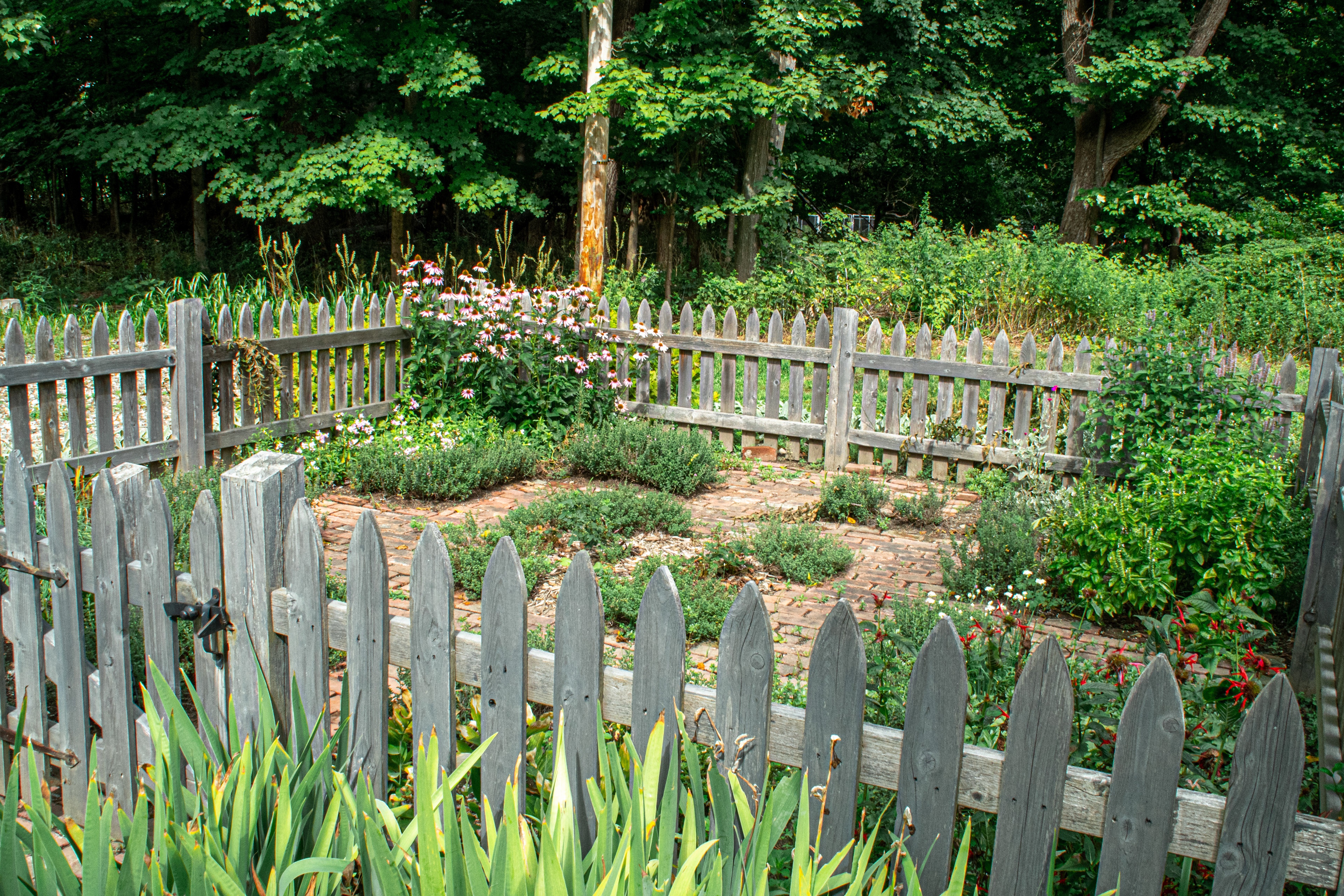 Herb garden.