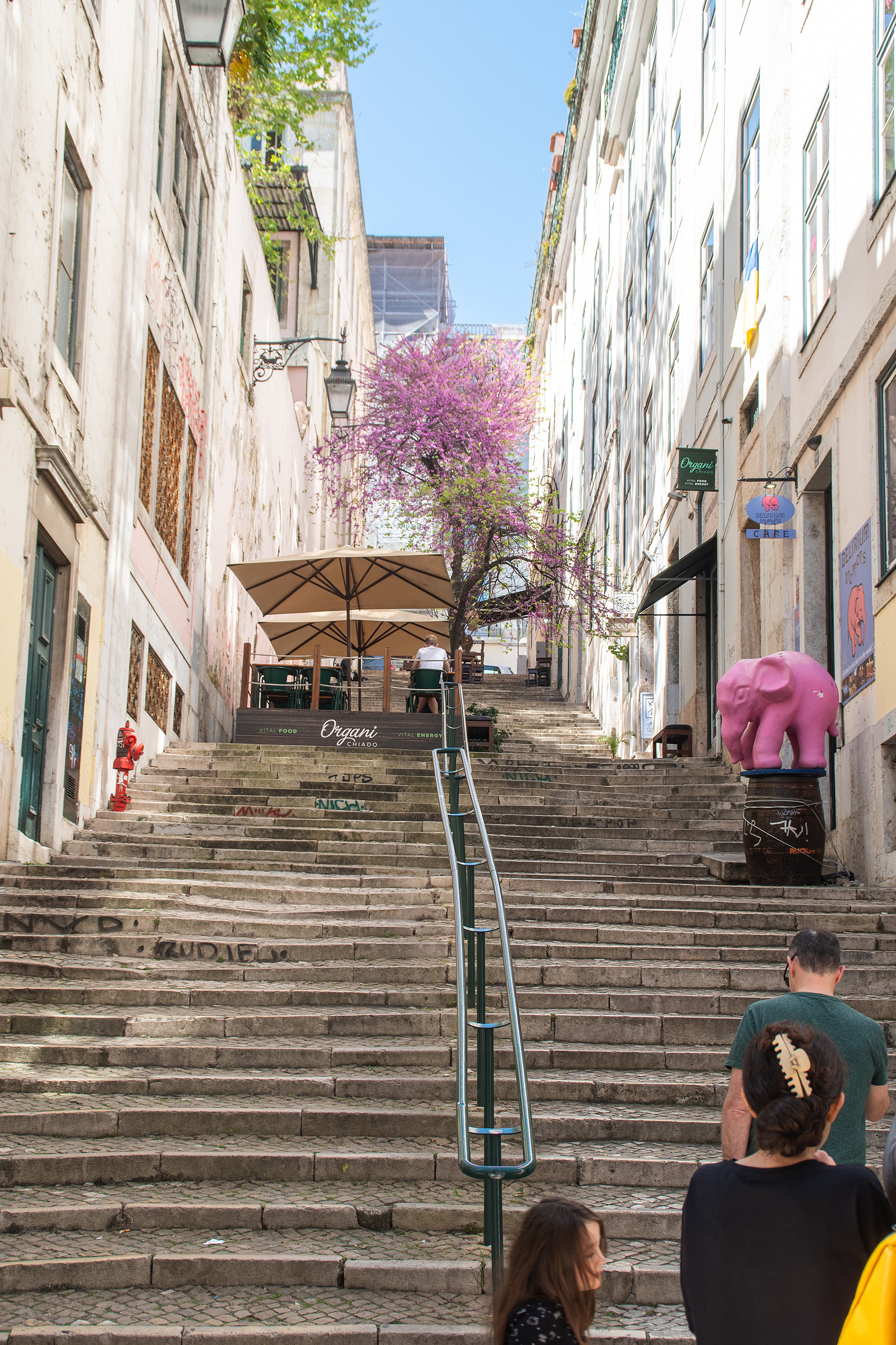 Yup More Steps