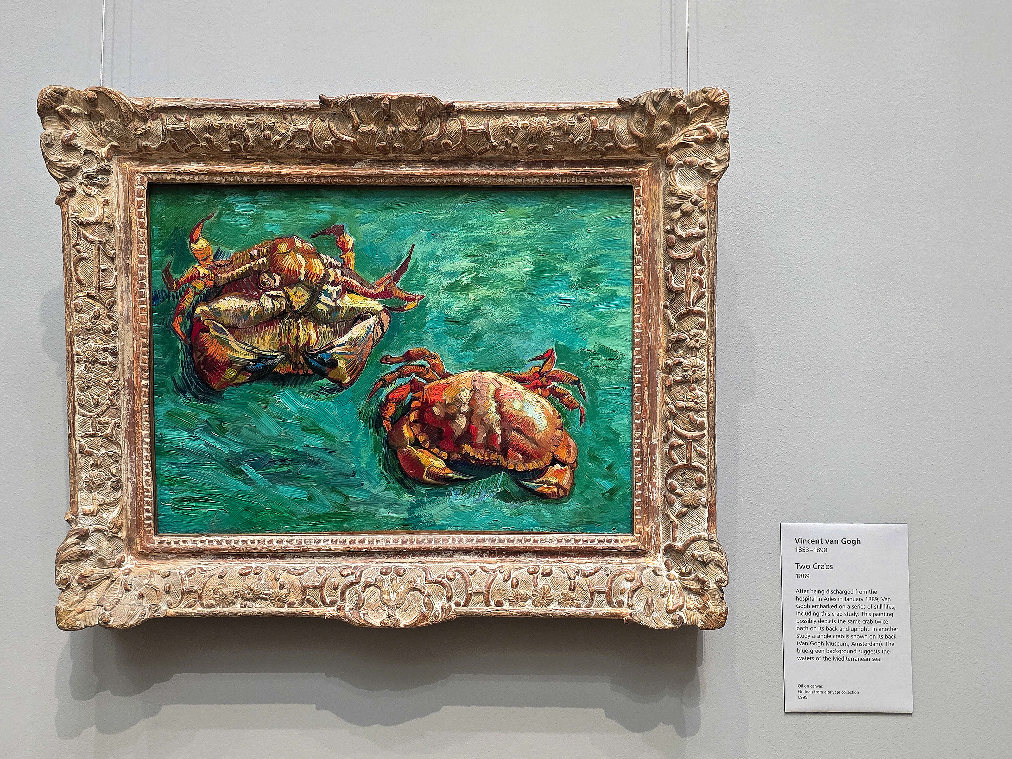 Two Crabs - Vincent Van Gogh - 1889