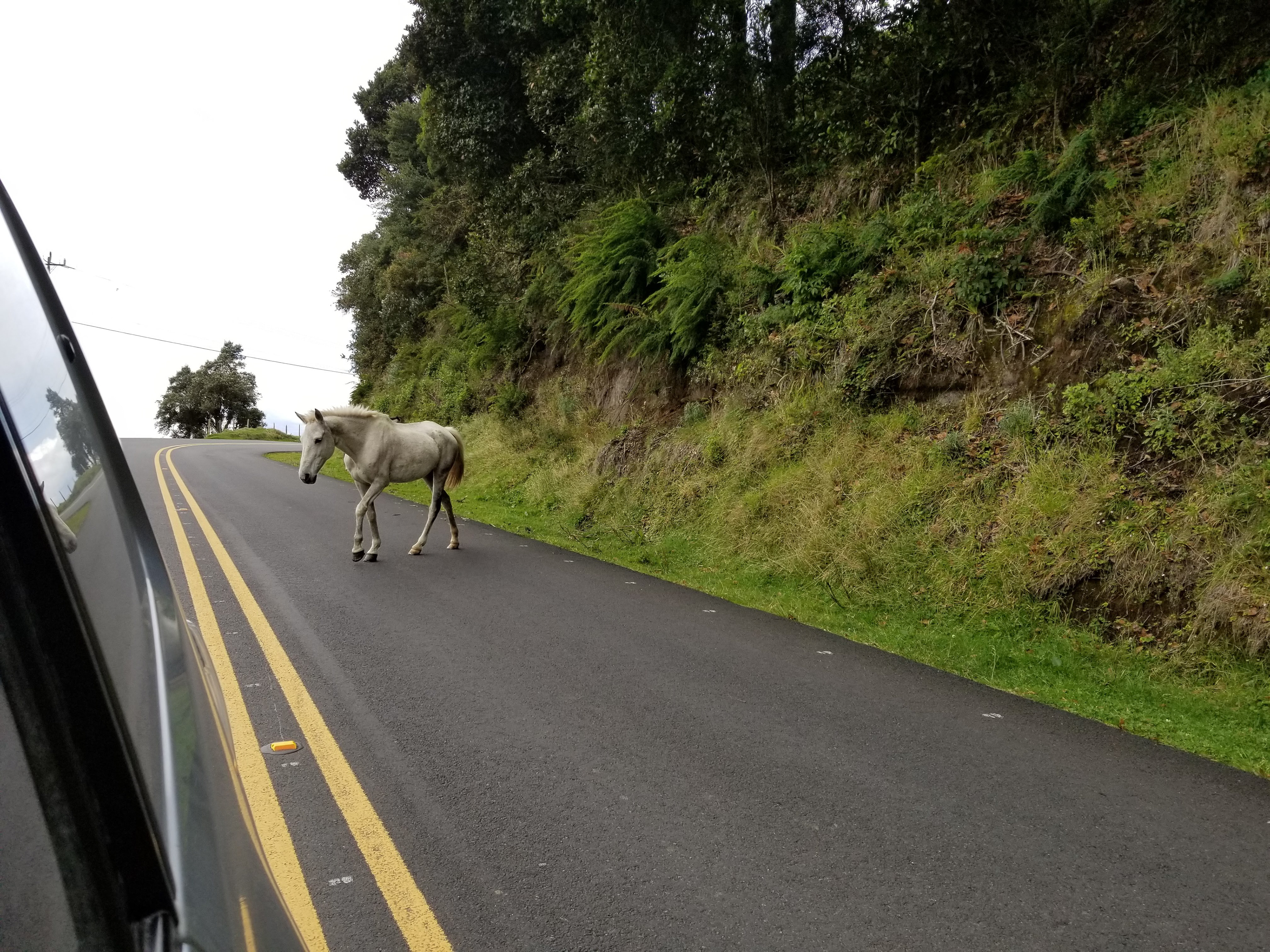 Who has the right of way?
