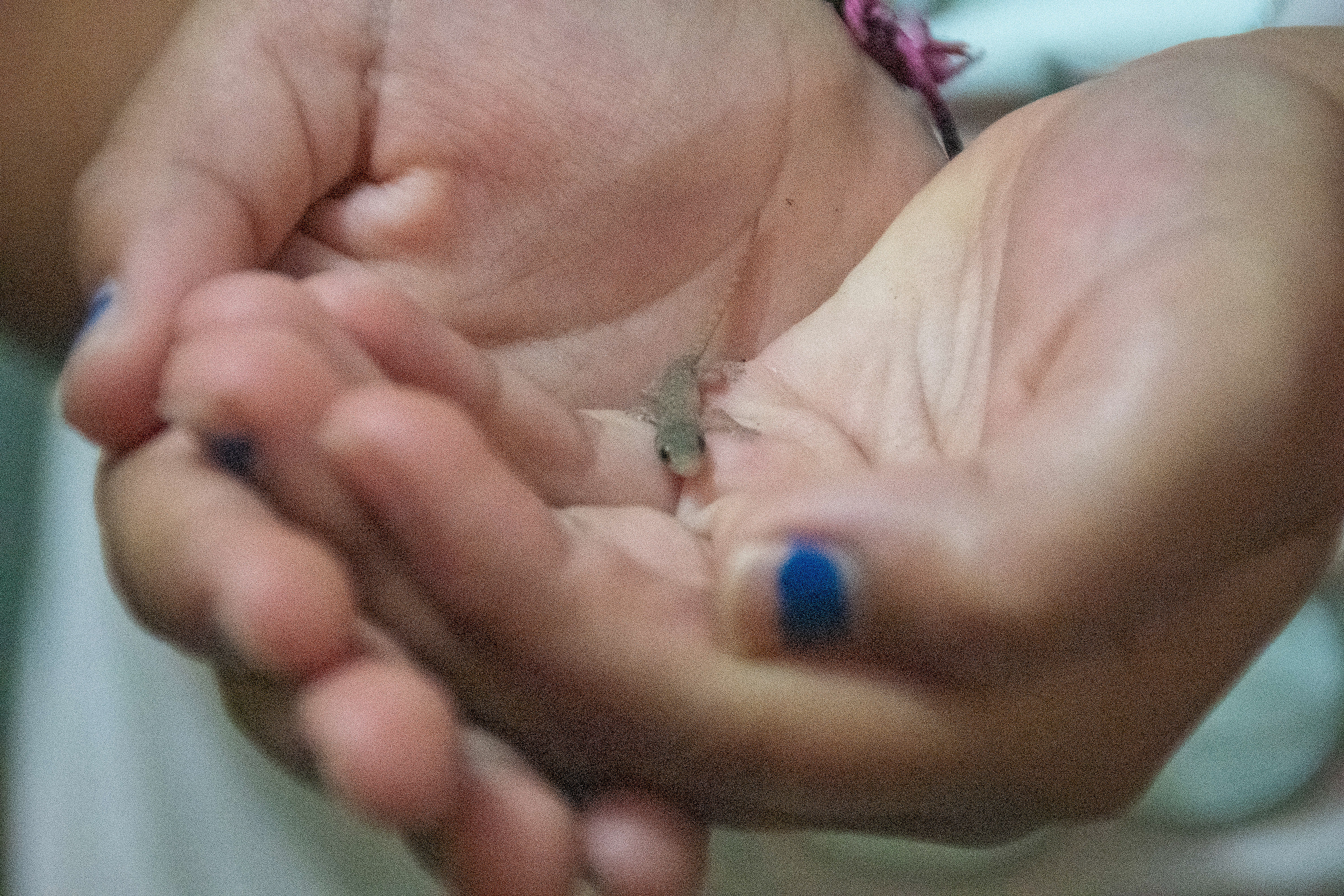 Allie found him in the bathroom.