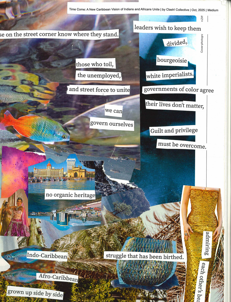 Indo-Caribbean Advocacy Dress Inspiration Collage (2025)