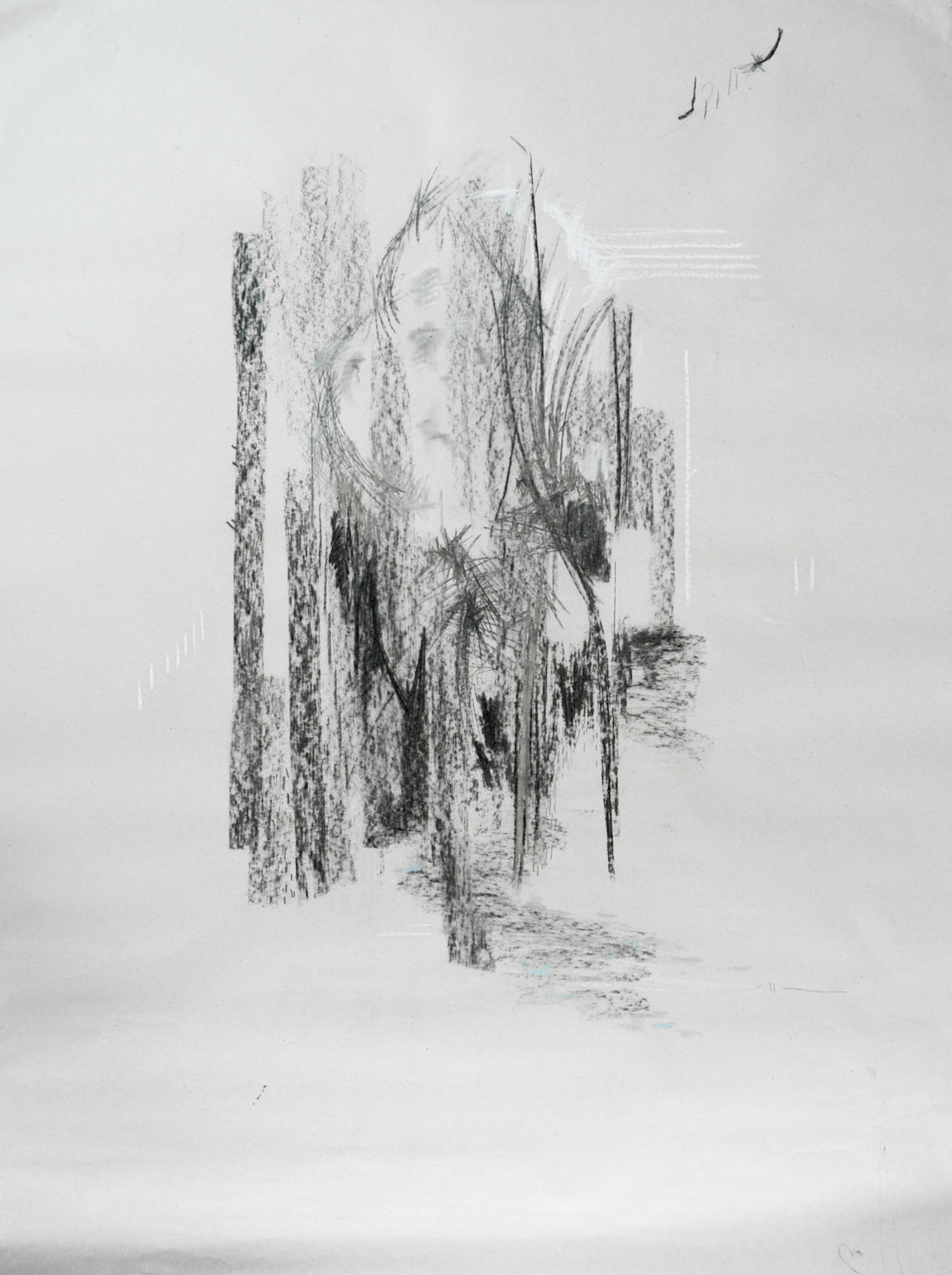 Krajina 2 , uhel na papíře, 70 x 90 cm, 2019 /Landscape 2, charcoal on paper, 70 x 90 cm, 2015