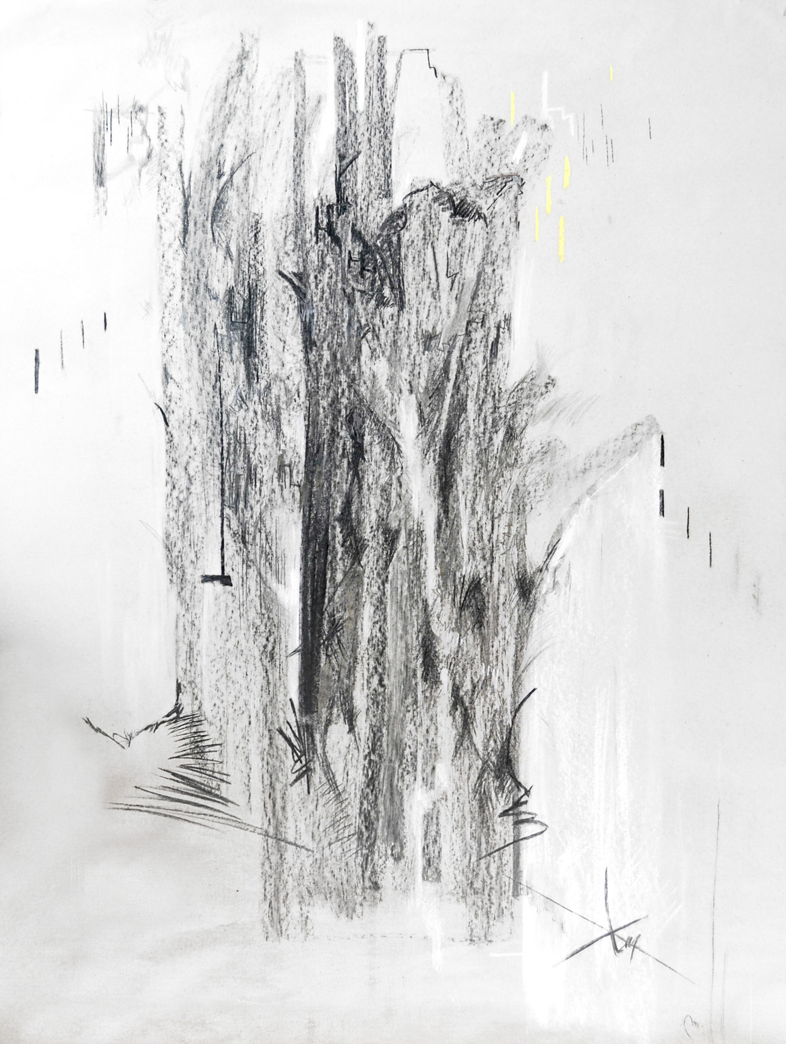 Krajina 6 , uhel na papíře, 70 x 90 cm, 2019 /Landscape 6, charcoal on paper, 70 x 90 cm, 2015
