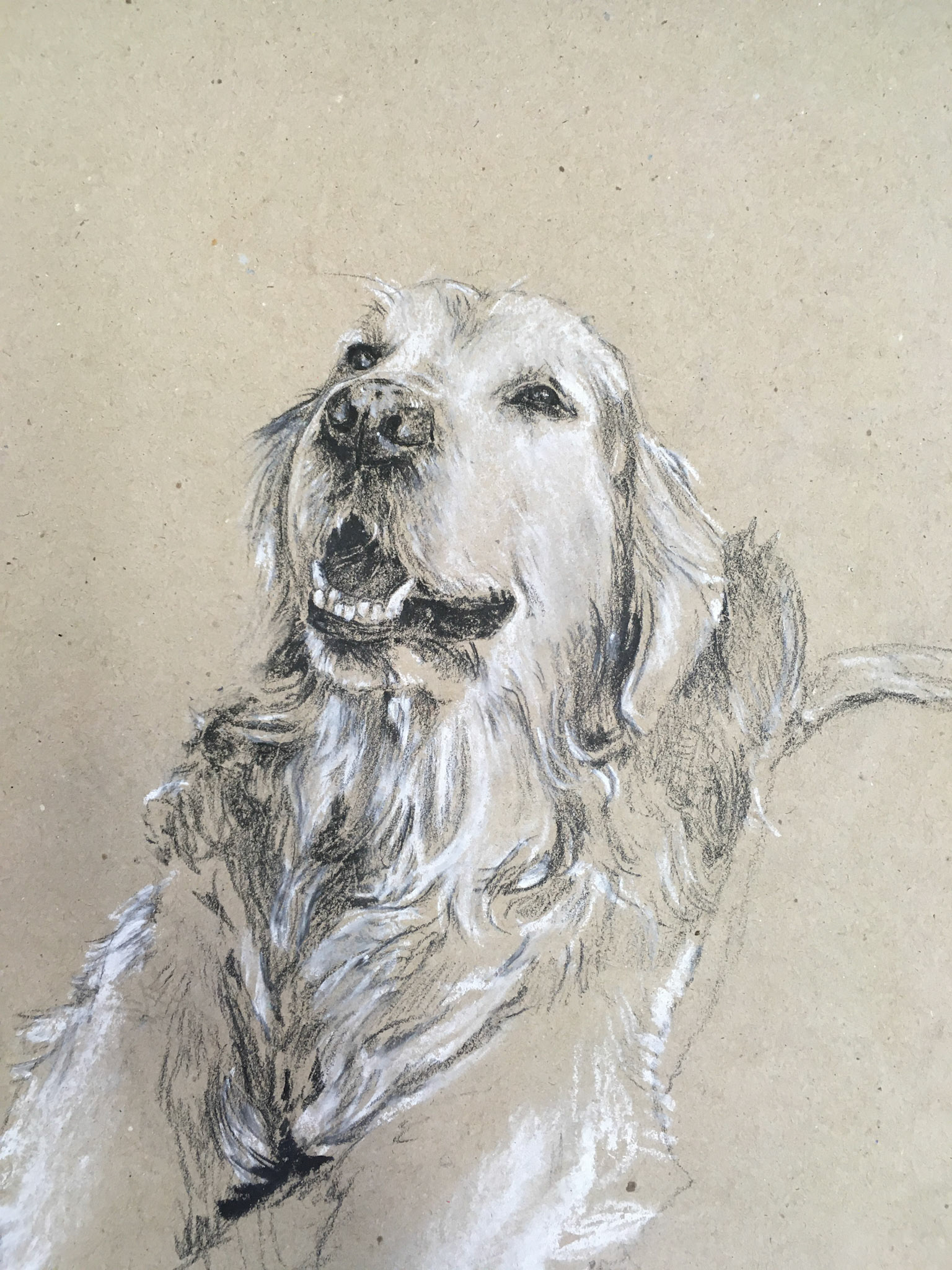 Andy , uhel na papíře, 29,7 x 42 cm, 2022 / Andy, charcoal on paper, 29,7 x 42 cm, 2022