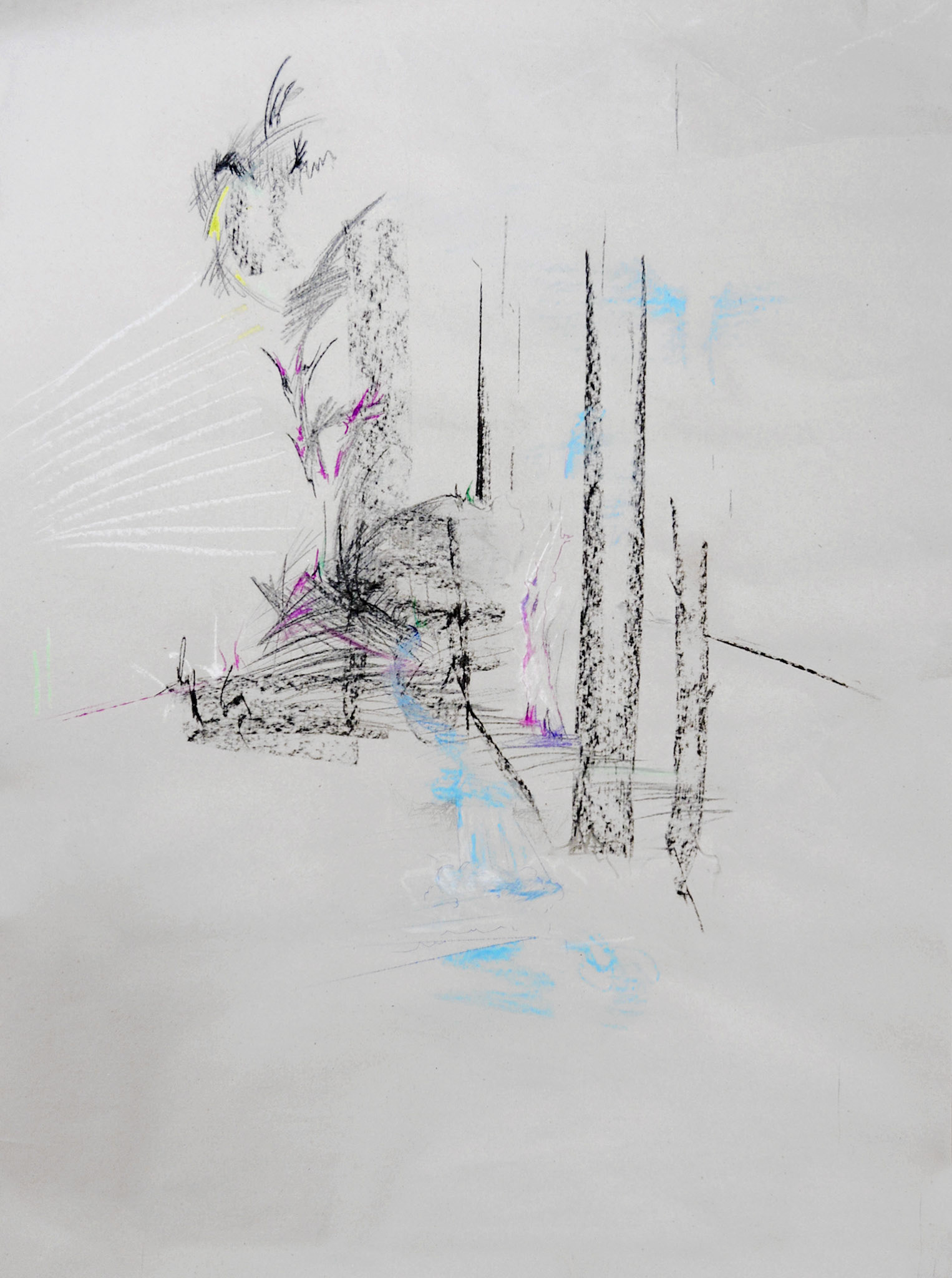 Krajina 1 , uhel na papíře, 70 x 90 cm, 2019 /Landscape, charcoal on paper, 70 x 90 cm, 2015