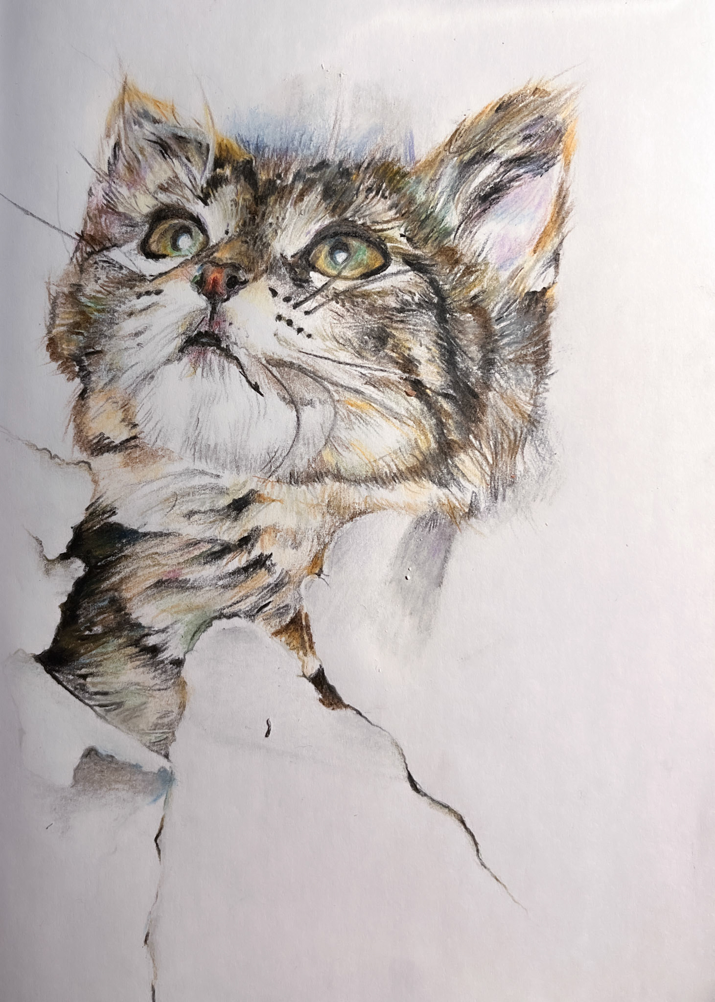 Kotě , uhel na papíře, 14,9 x 21  cm, 2022 / Cat, charcoal on paper, 14,9 x 21 cm, 2022