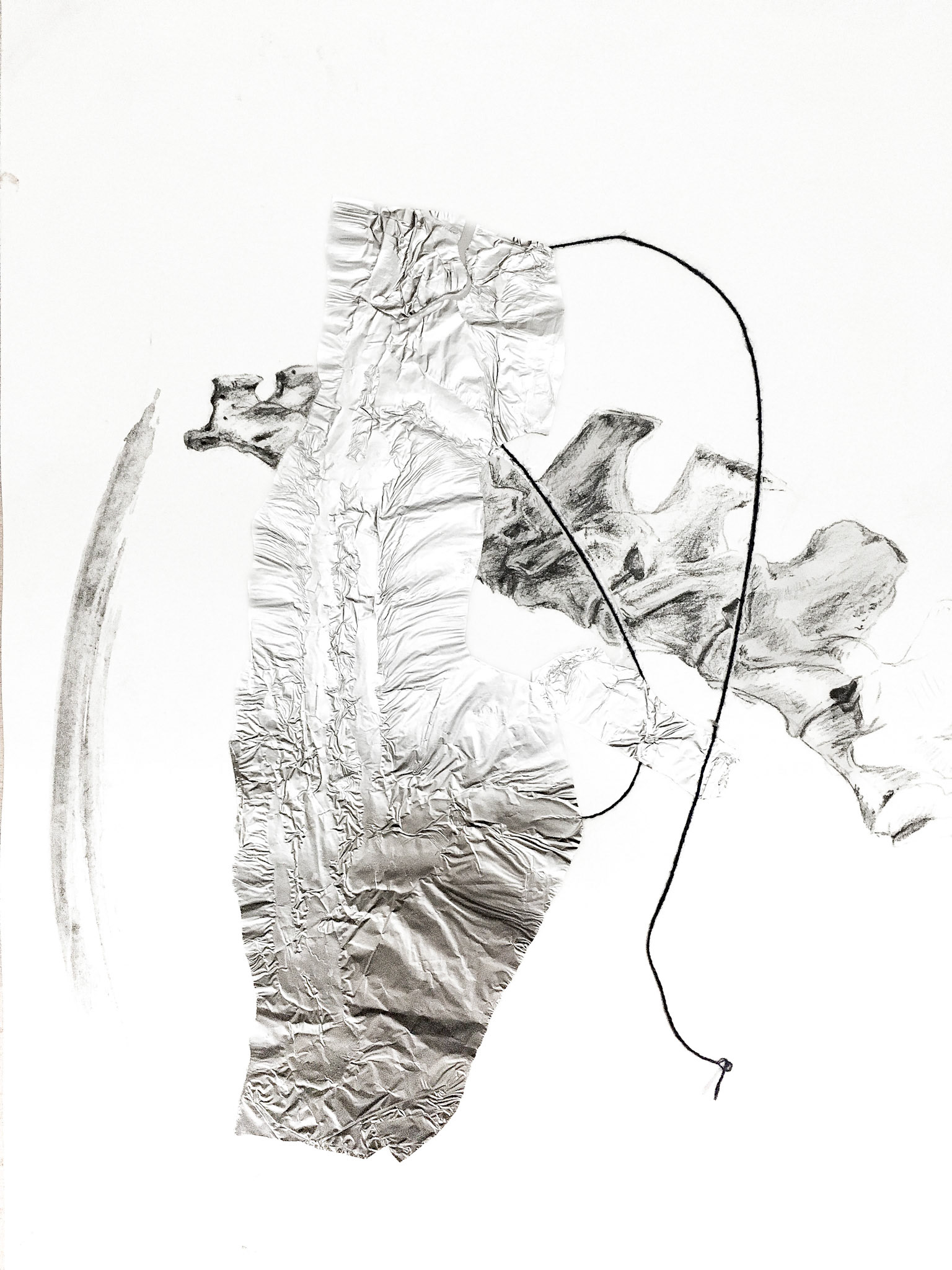 Páteř, uhel a alobal na papíře, 29,7 x 42 cm, 2014/ spine, charcoal and alufoil on paper, 42x59,4 cm, 2014