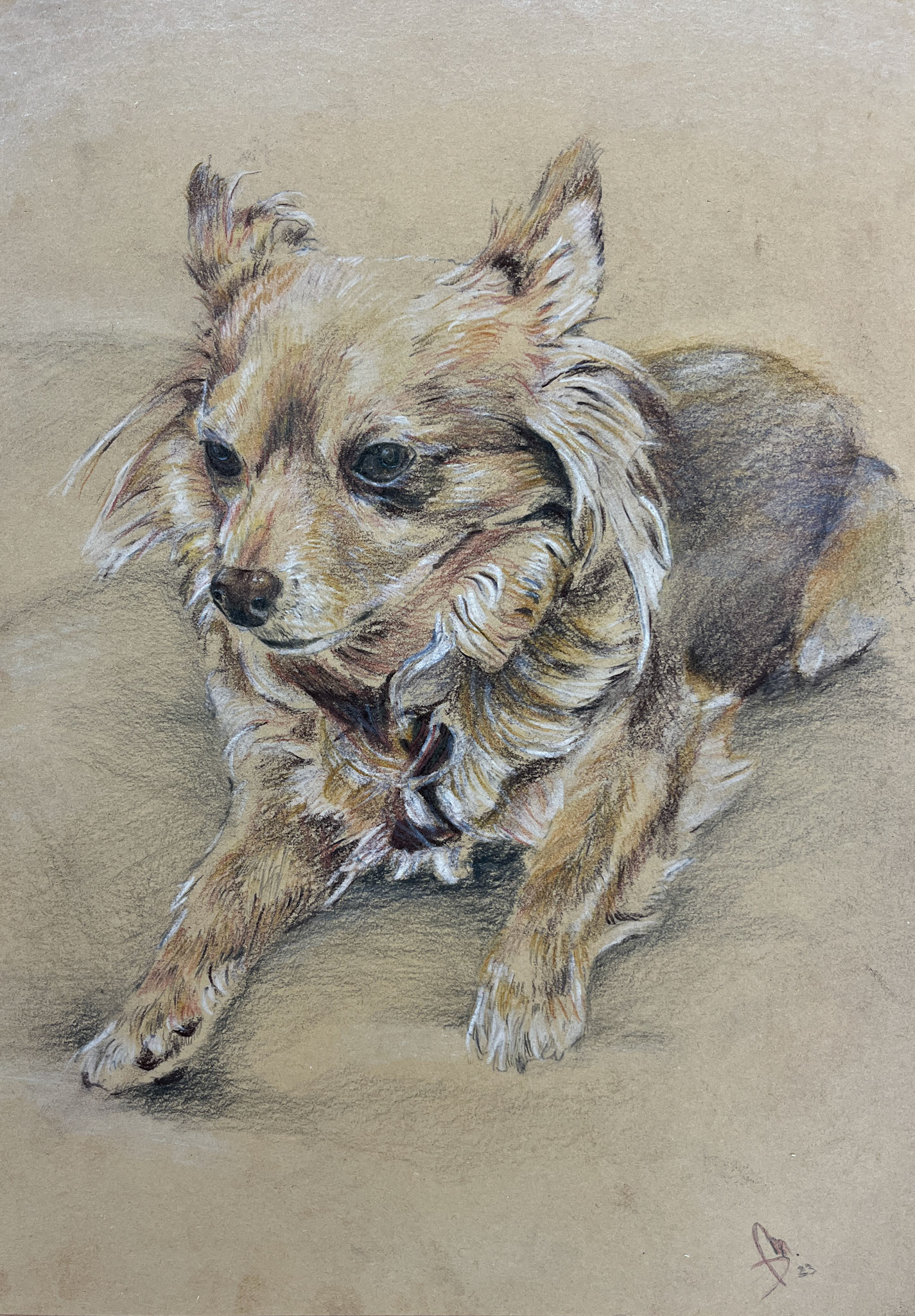 Fifi , uhel na papíře, 14,9 x 21  cm, 2022 / Fifi, charcoal on paper, 14,9 x 21 cm, 2022