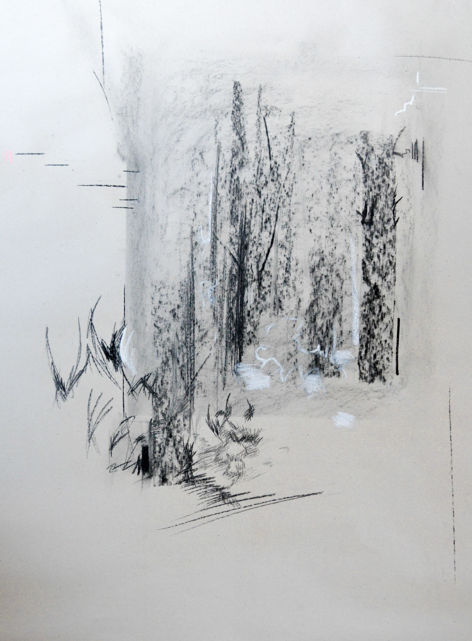 Krajina 5 , uhel na papíře, 70 x 90 cm, 2019 /Landscape 5, charcoal on paper, 70 x 90 cm, 2015