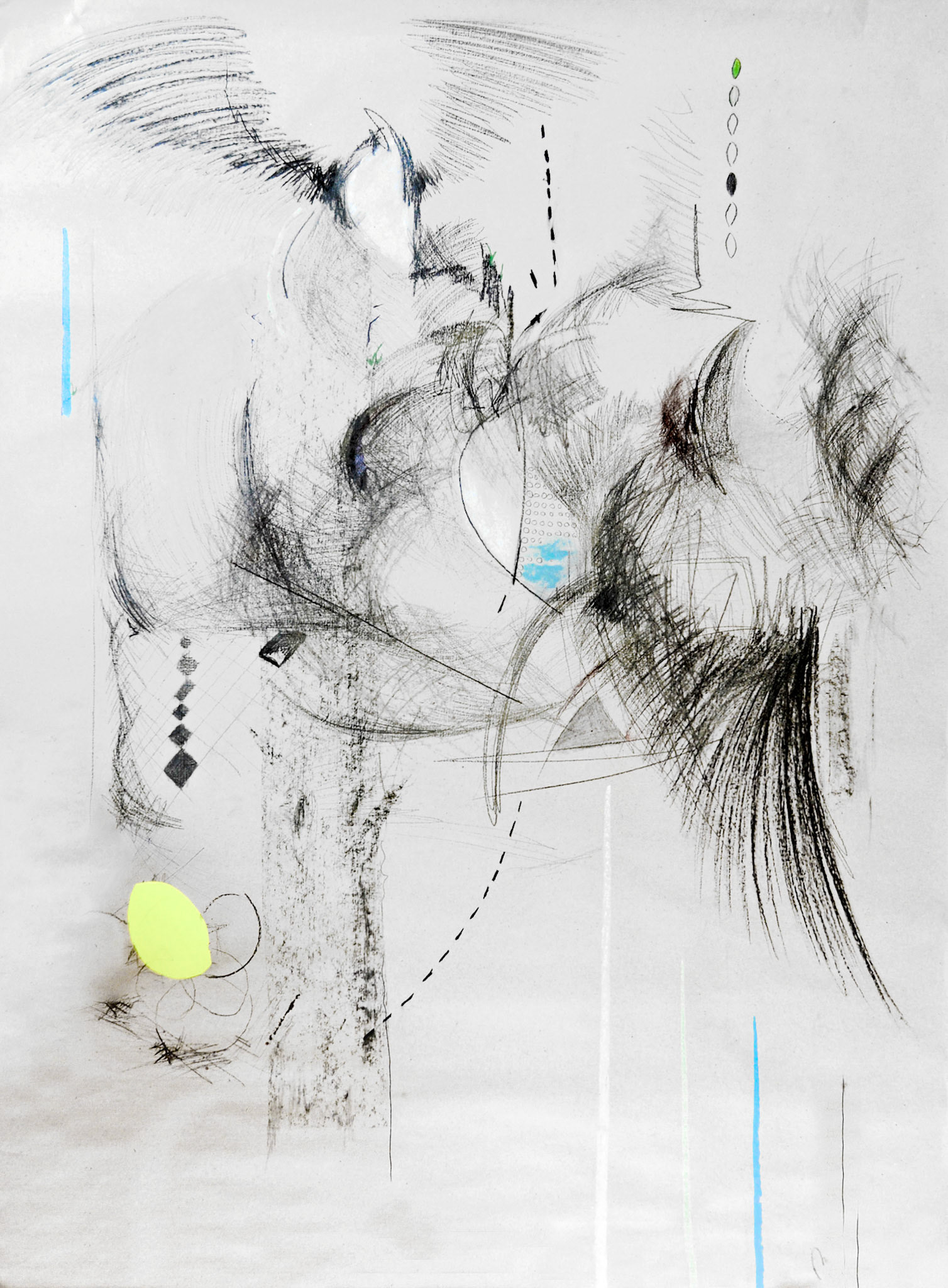 Hnízdo , uhel na papíře, 70 x 90 cm, 2019 /The Nest, charcoal on paper, 70 x 90 cm, 2015