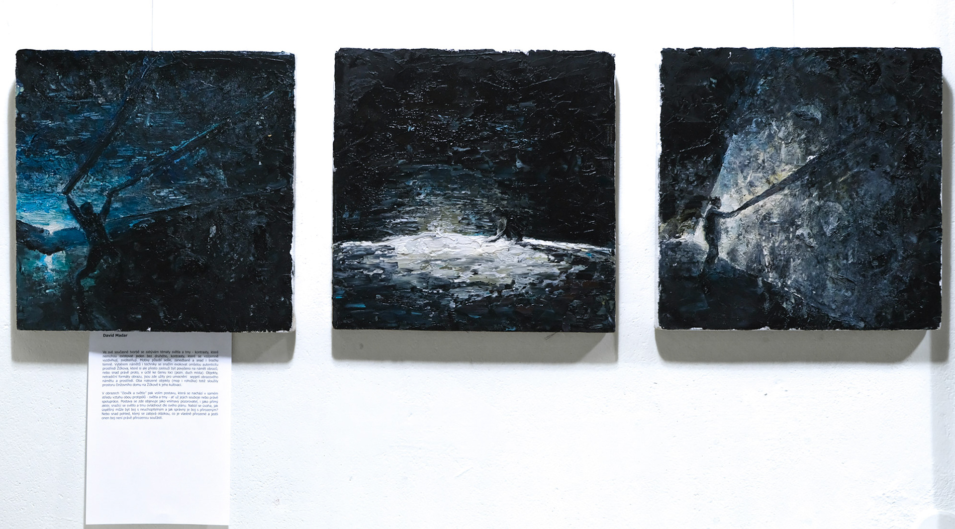 Člověk a světlo - pohled na výstavu, olej na mopu, 2021/ Man and the light - exhibition view, oil on mop, 2021