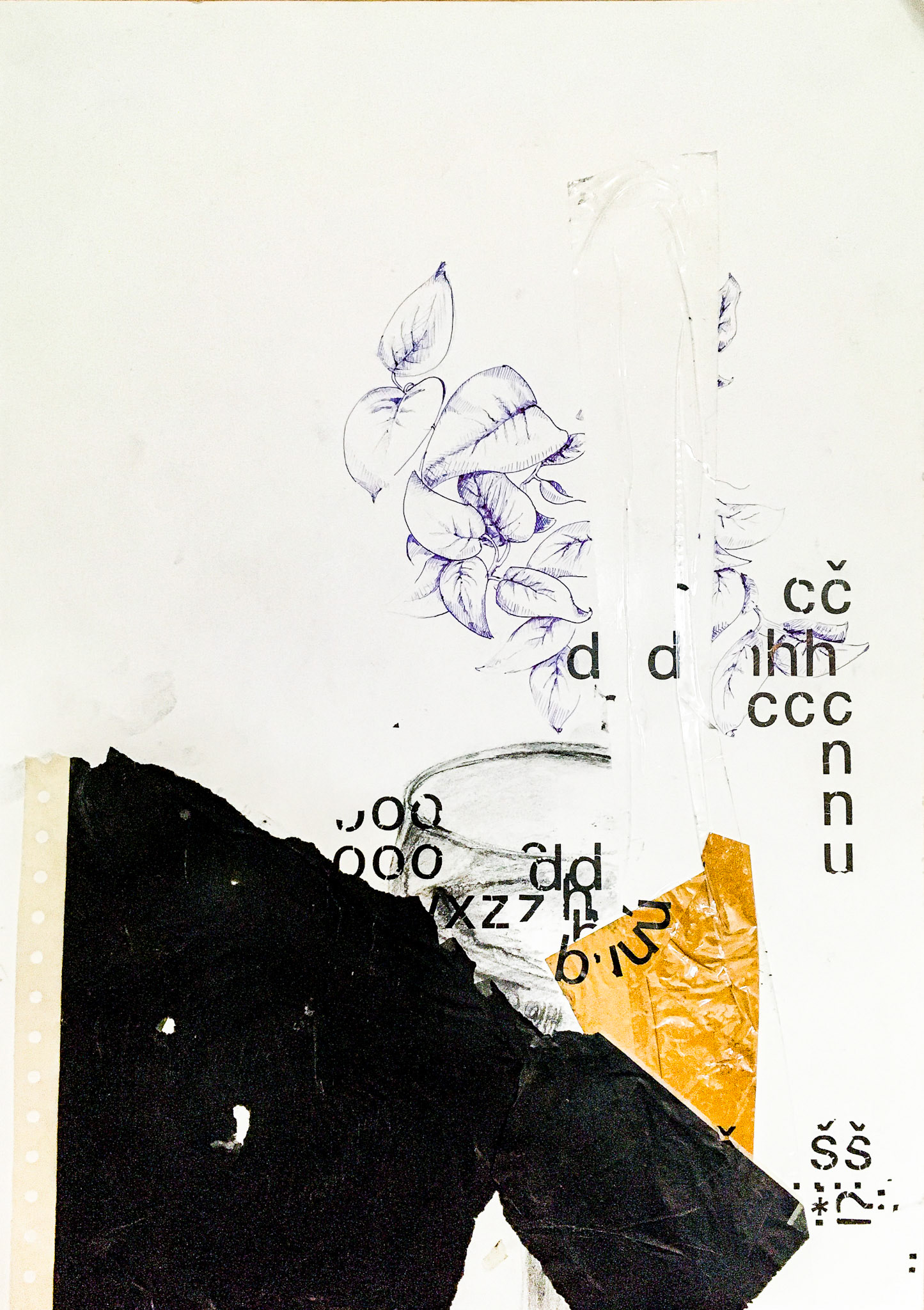 Květiny, uhel a koláž na papíře, 29,7 x 42 cm, 2014/ spine, charcoal and collage on paper, 42x59,4 cm, 2014