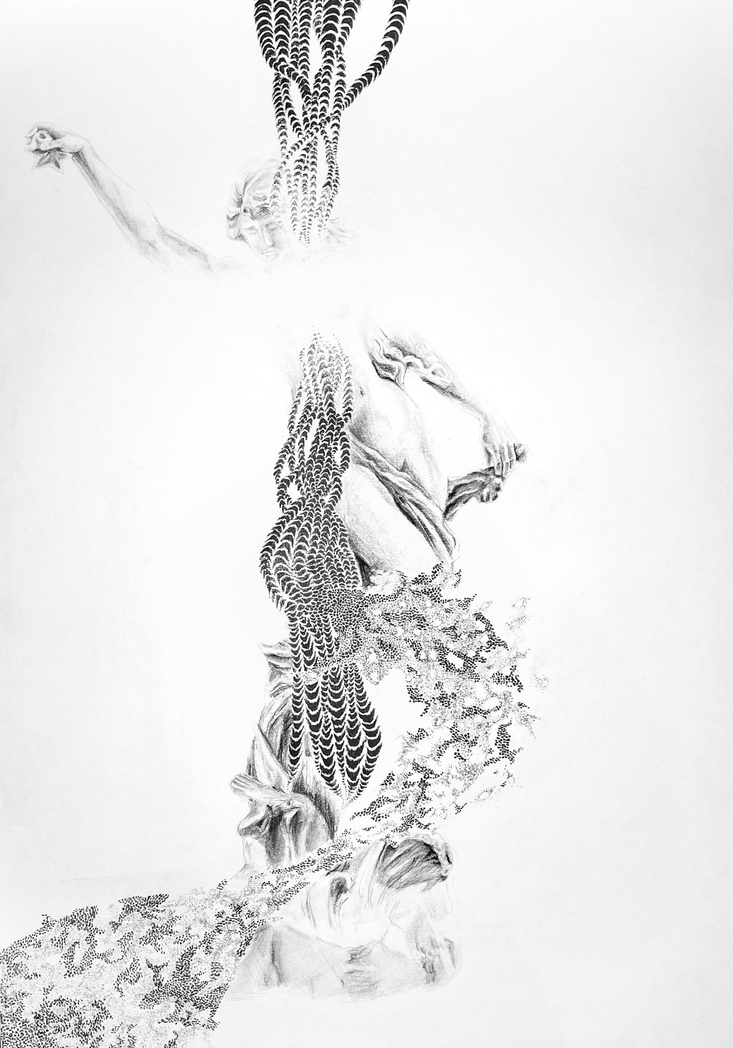 Afrodita , uhel na papíře, 42 X 59,4 cm, 2023/ Aphrodite , charcoal on paper, 42x59,4 cm, 2023