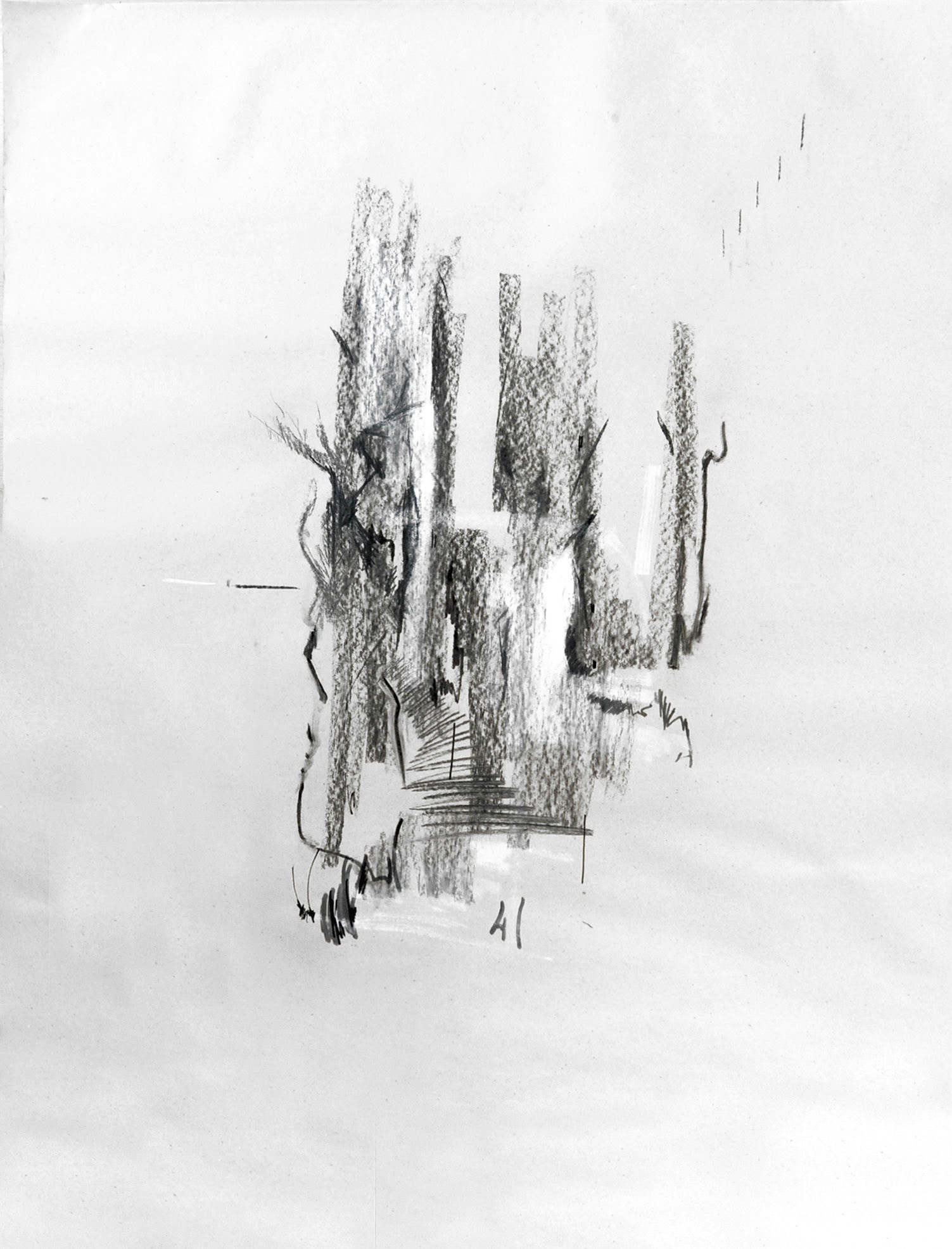 Krajina 4 , uhel na papíře, 70 x 90 cm, 2019 /Landscape 4, charcoal on paper, 70 x 90 cm, 2015