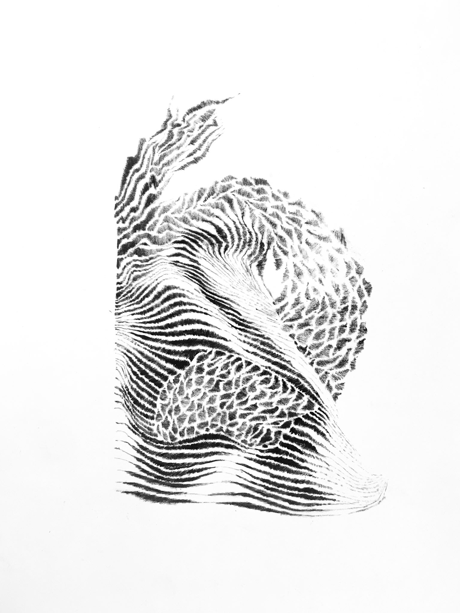 Abstrakce, uhel na papíře, 24,9 X 21cm , 2023/ Achilles, charcoal on paper, 21x29,7 cm, 2024